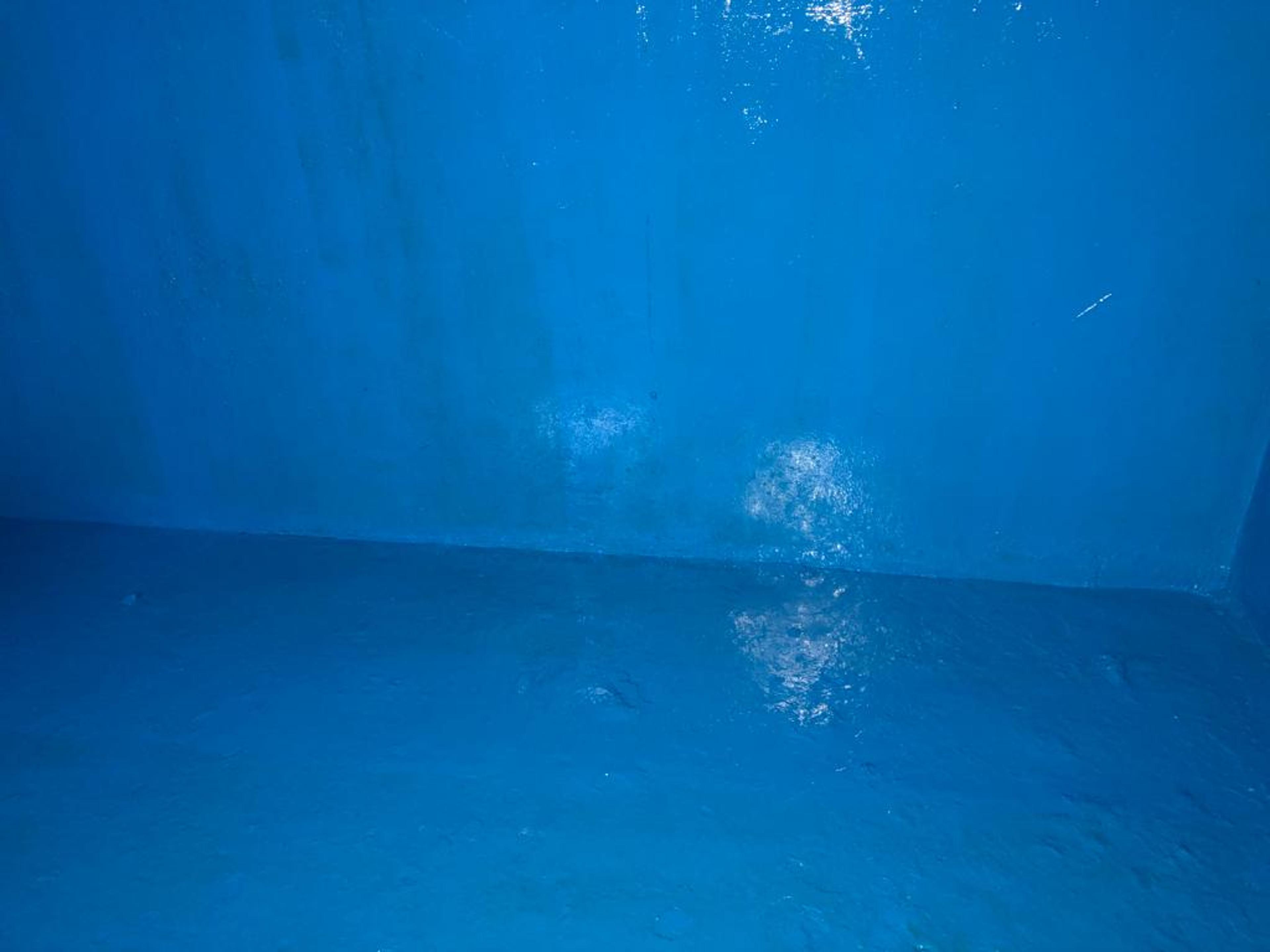 45dd6c12-8e3d-479c-8a95-c61cbeadb00c.jpeg