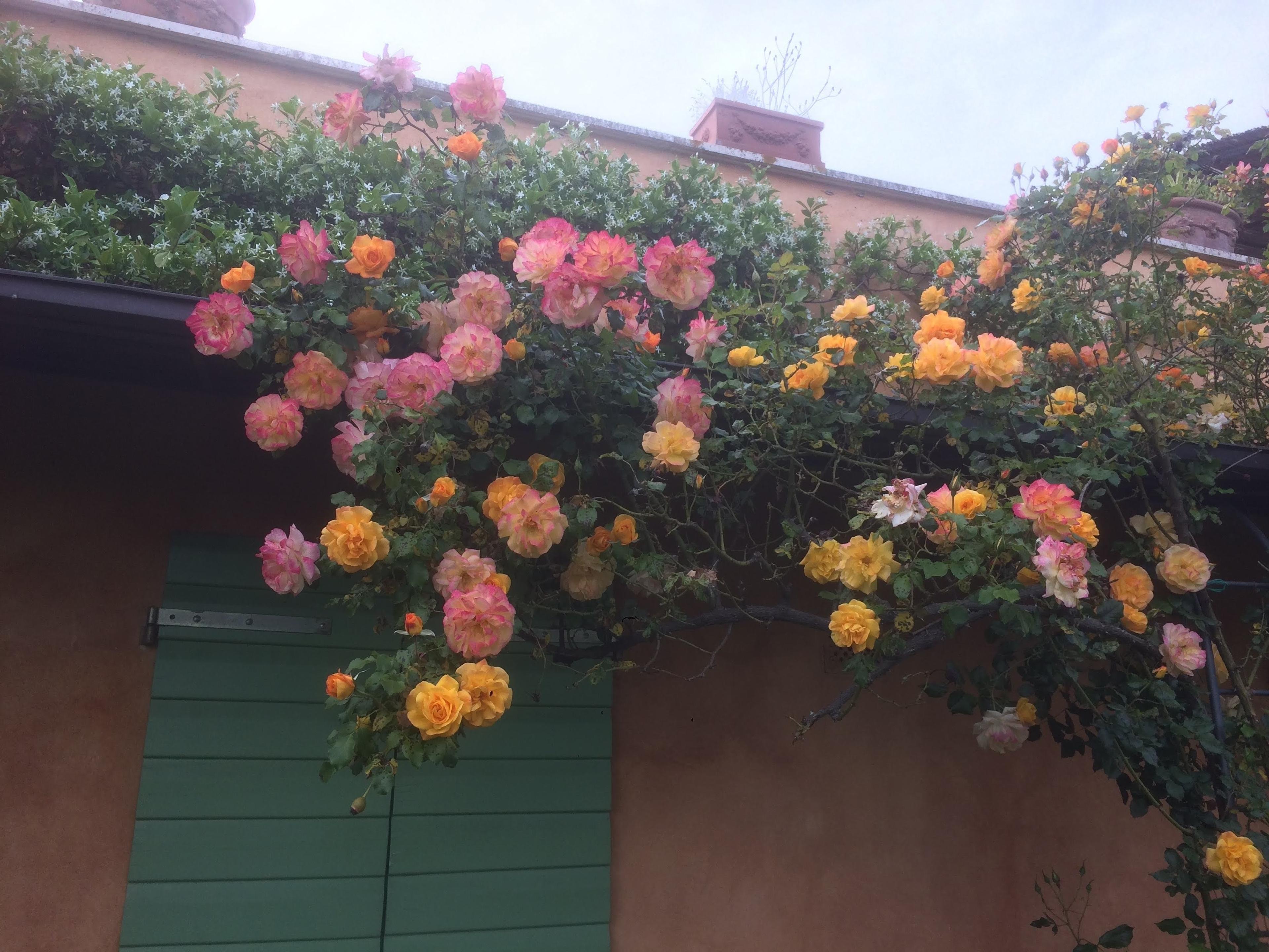 460a5978-c5d5-4e41-83c0-1d7116f69fc8.jpeg