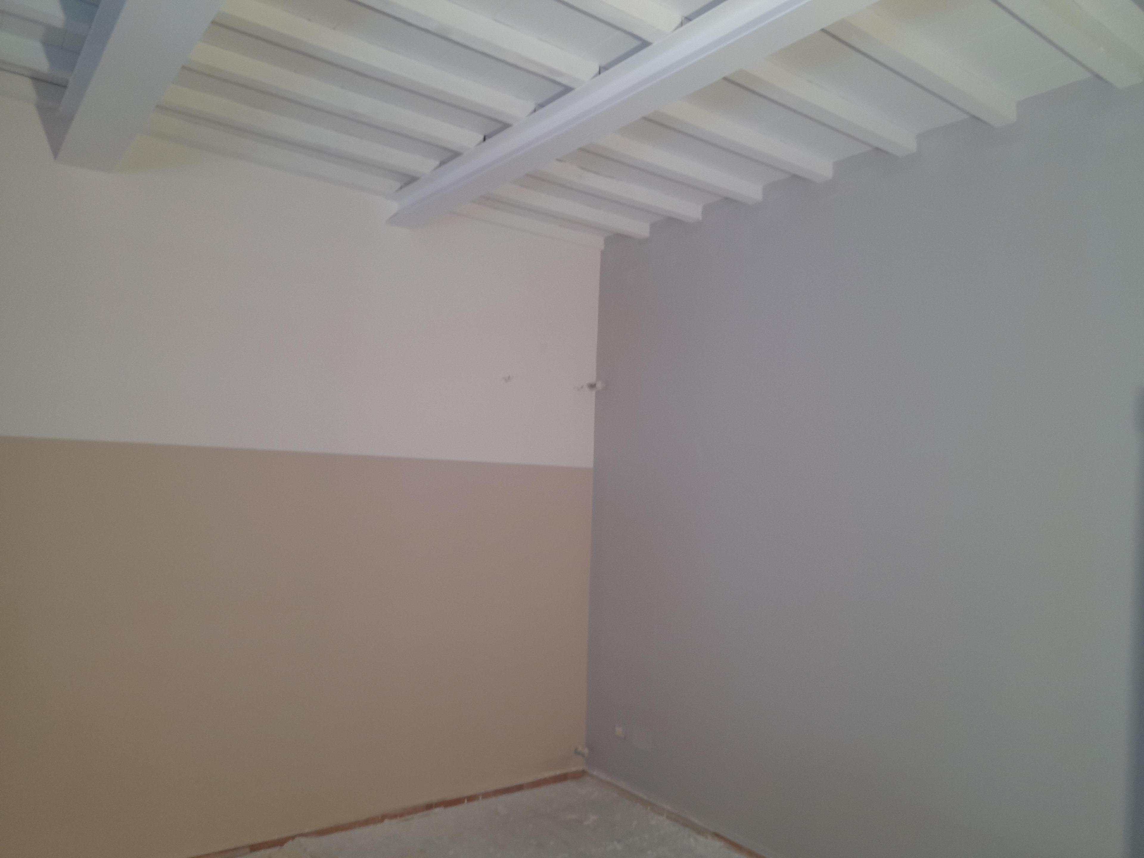 4772eecd-259b-4bd7-a5d4-13ae4926e21f.jpeg