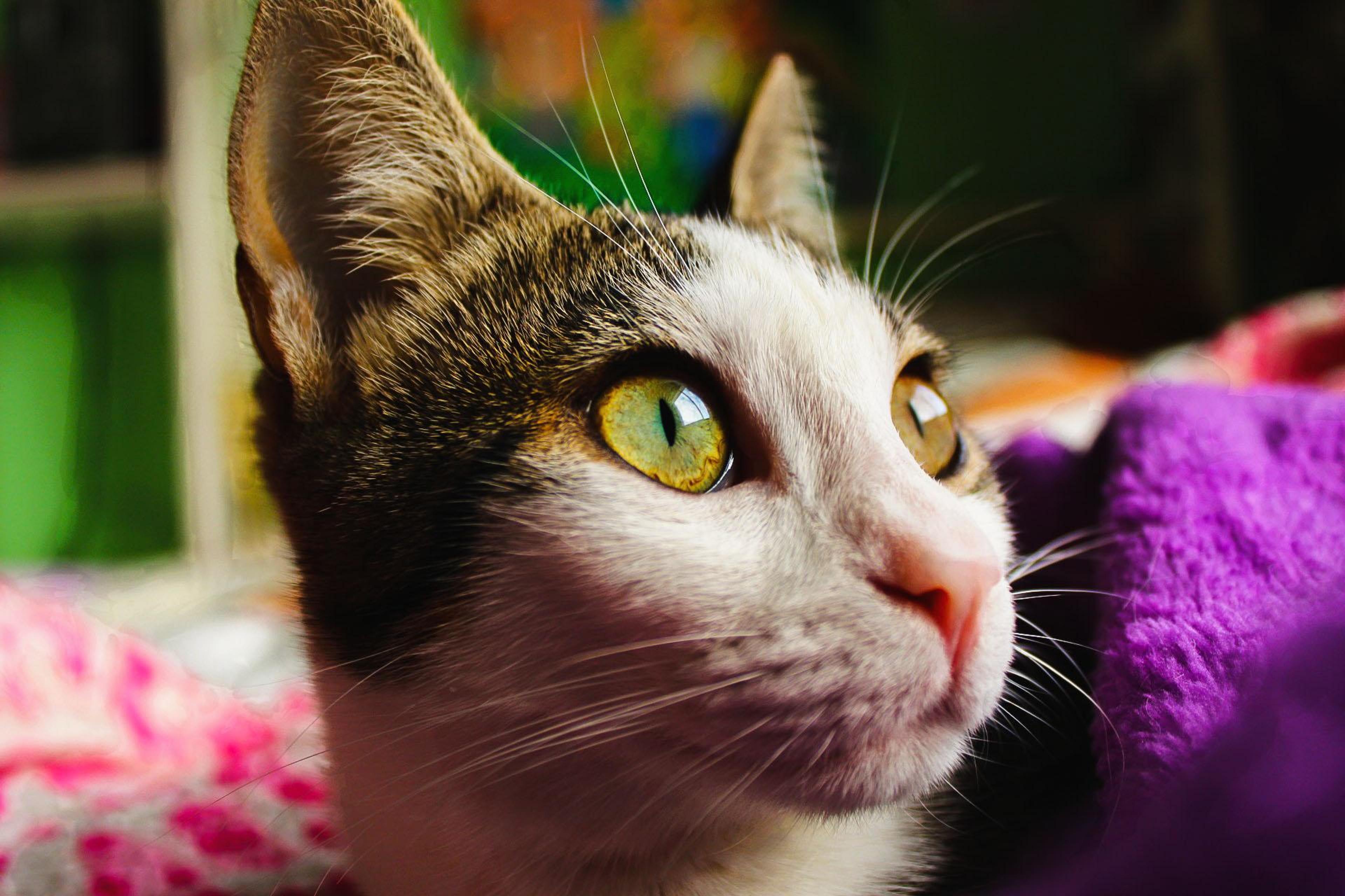 47db425a-608c-4891-aa10-f5d02250700f.jpeg