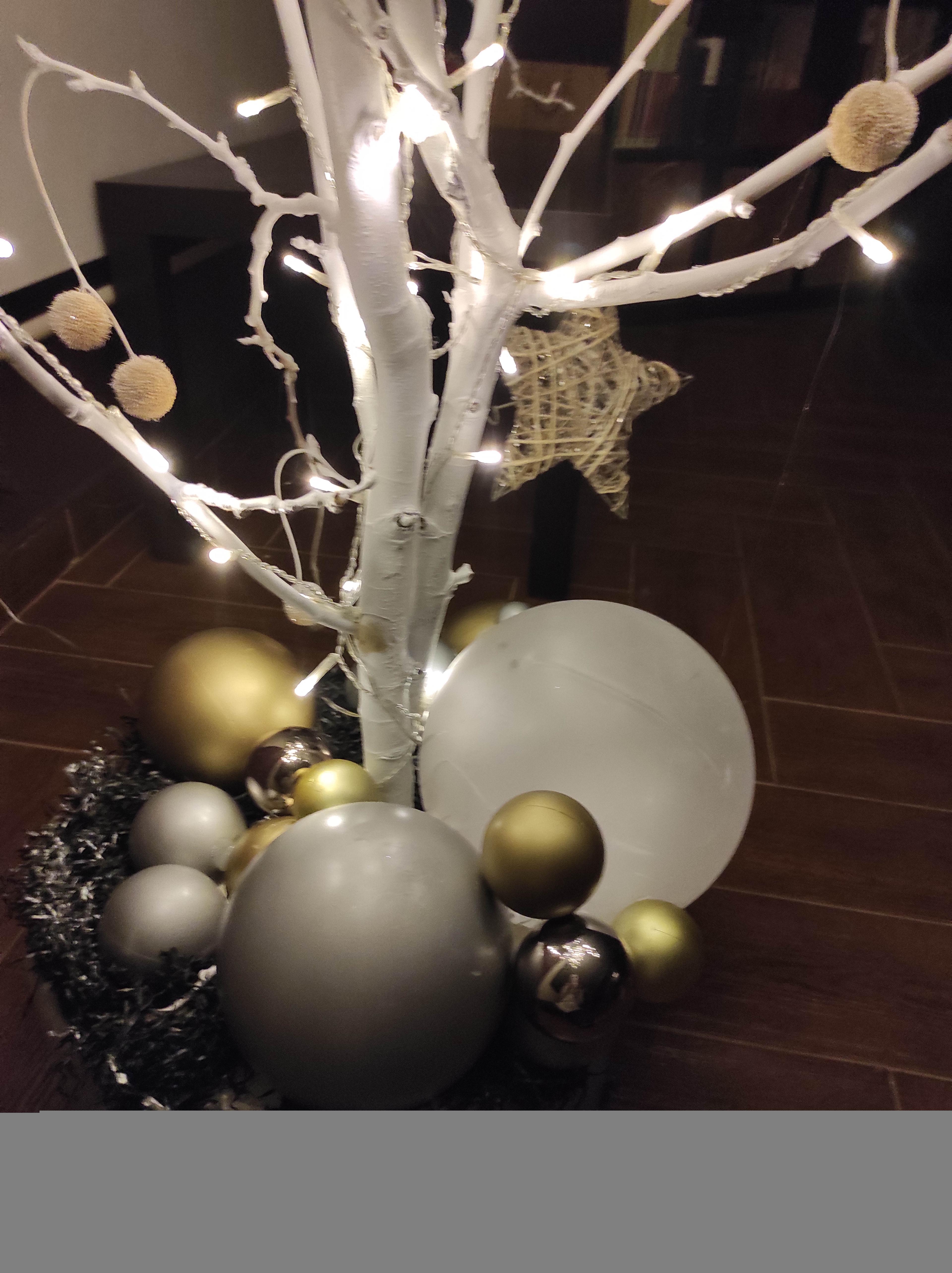 47fc5e1a-c81f-4535-8a5f-077526de3aa6.jpeg