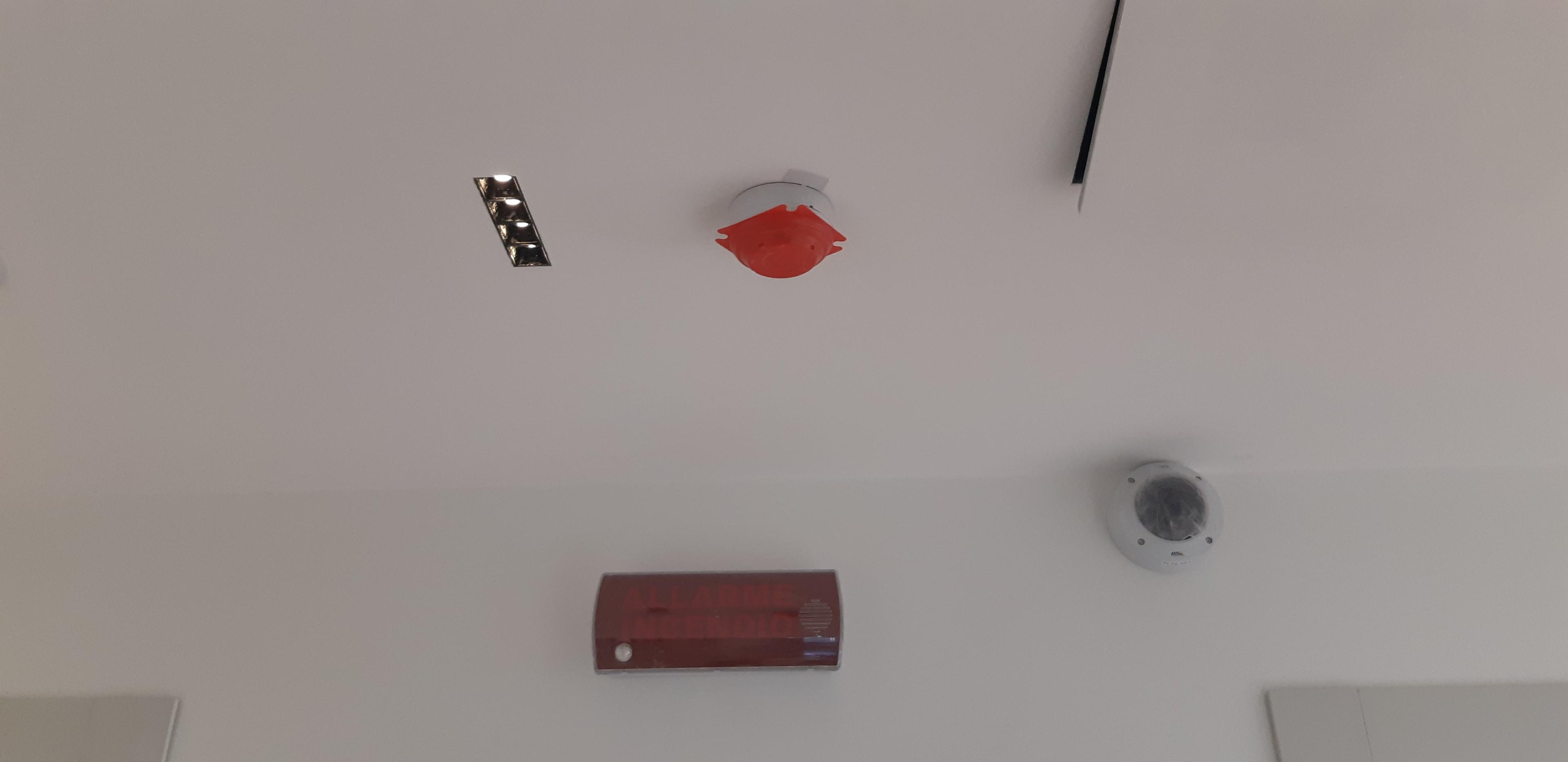 47ffd89d-5d85-4614-98e1-529068a8b51d.jpeg