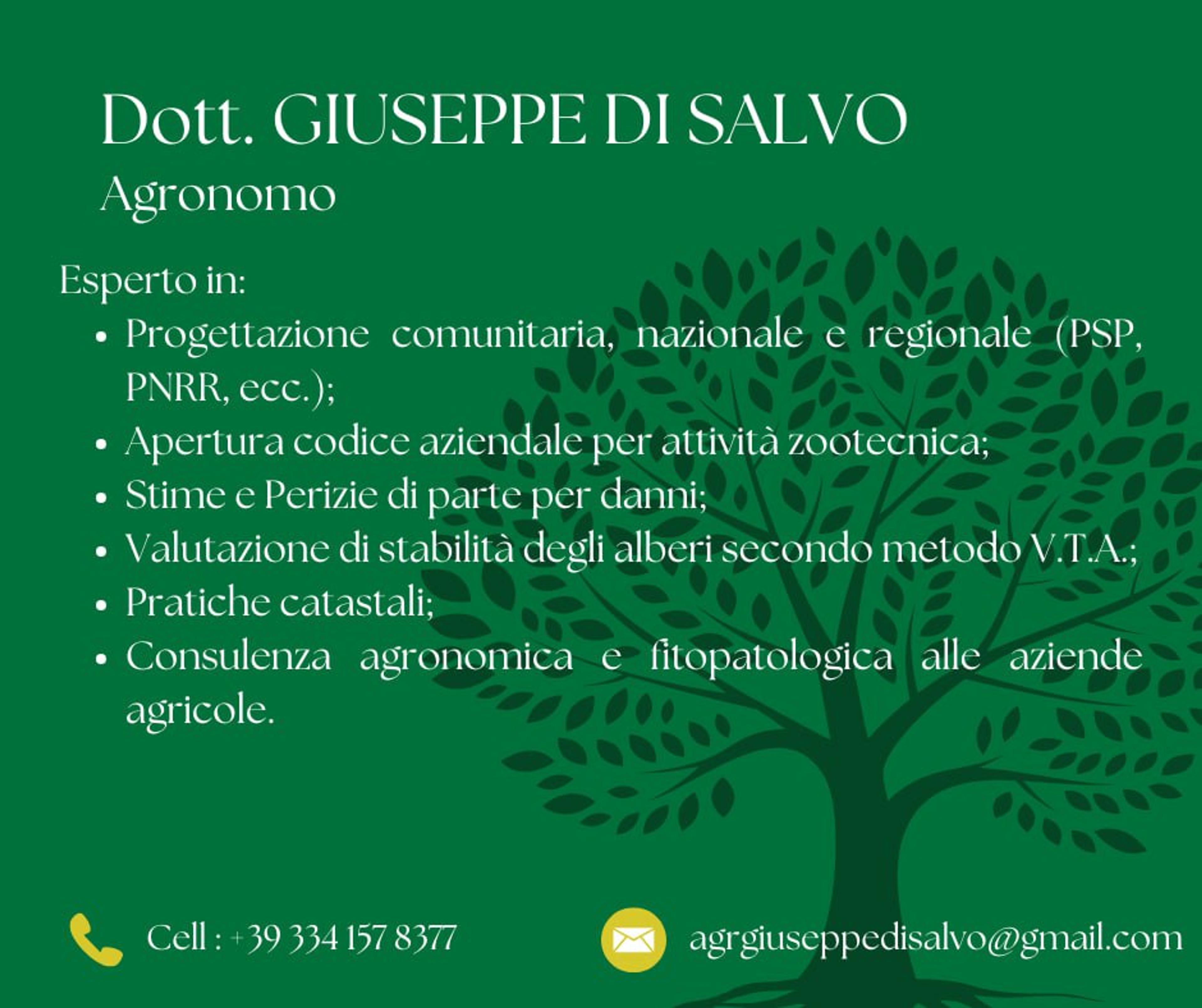 485f6d04-4cd3-40f0-b6a7-2ec64d7d0387.jpeg