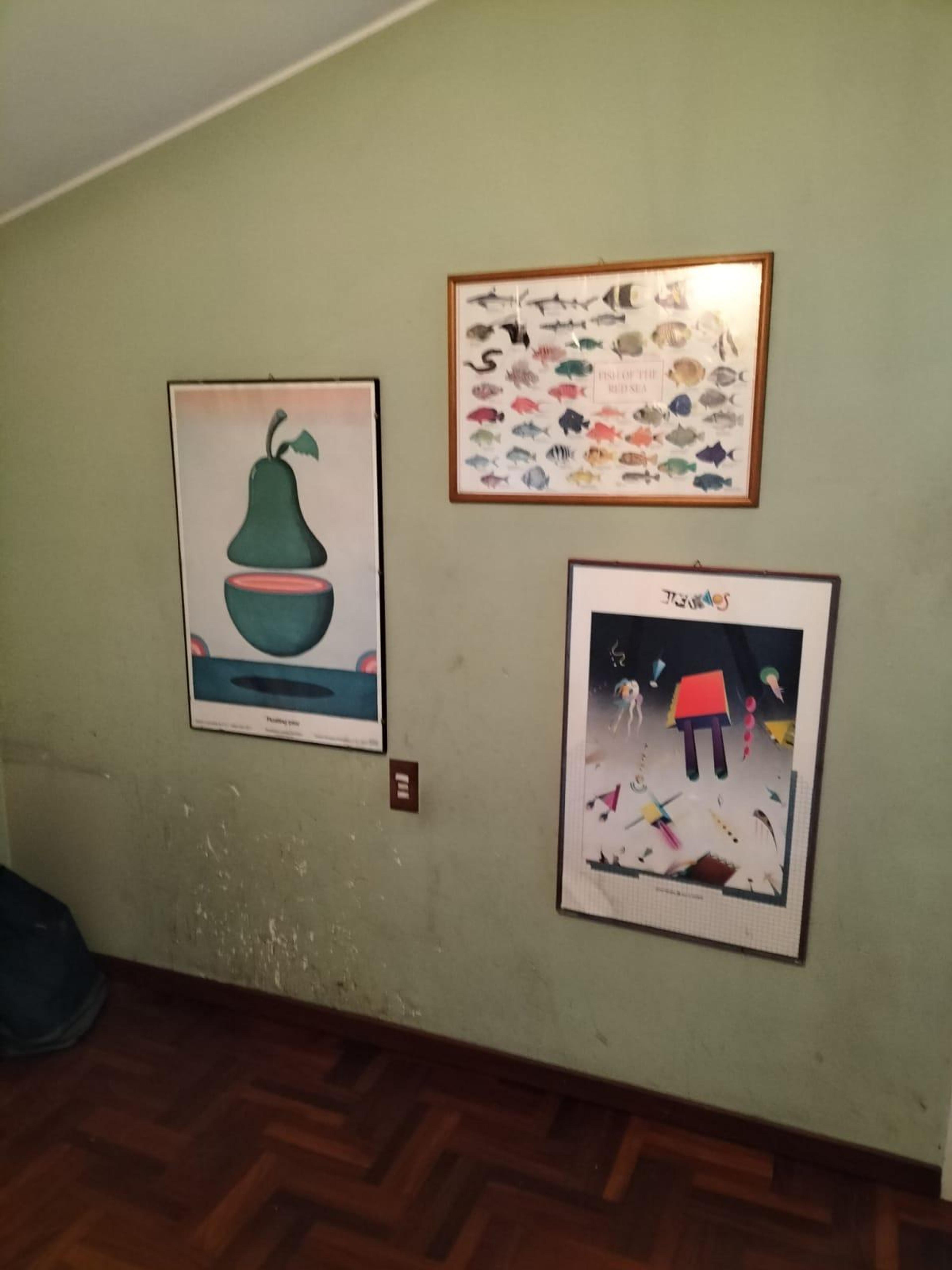 486a3b0b-95e3-4a74-9b3f-37f3b7b0e826.jpeg