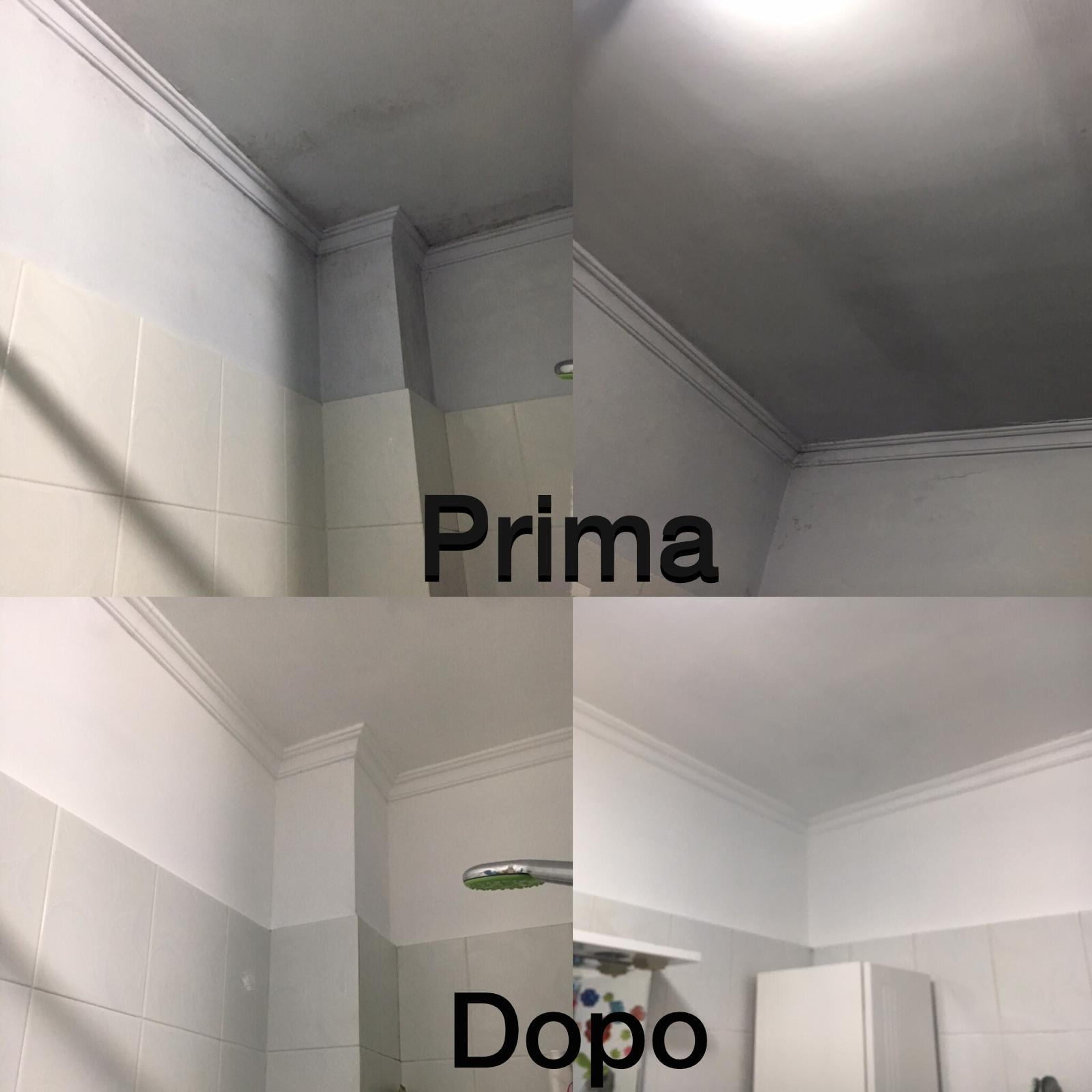 49154608-3523-4951-a2f0-dc6c01e59742.jpeg
