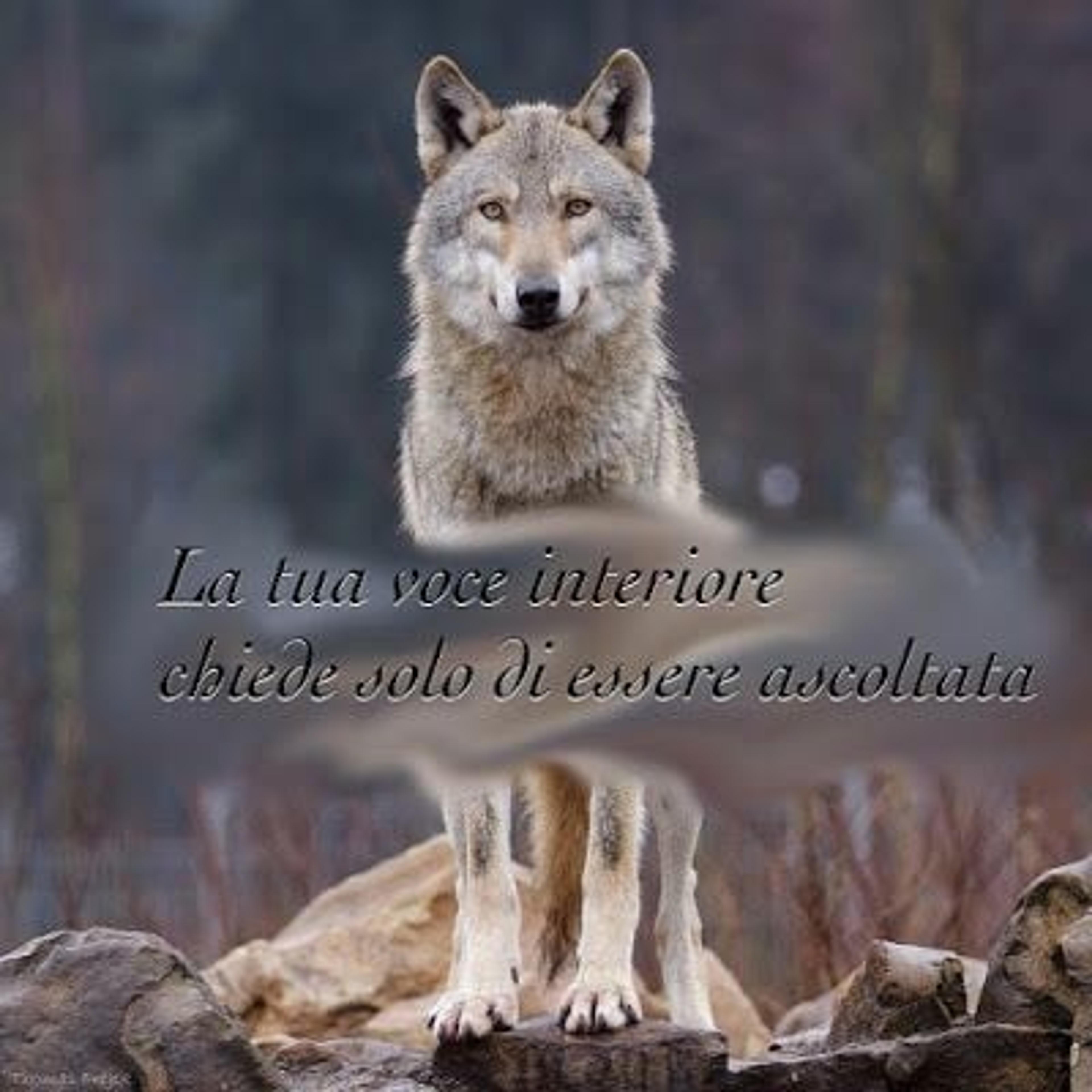 4924d3e3-9c06-40a0-a382-4df32739934f.jpeg