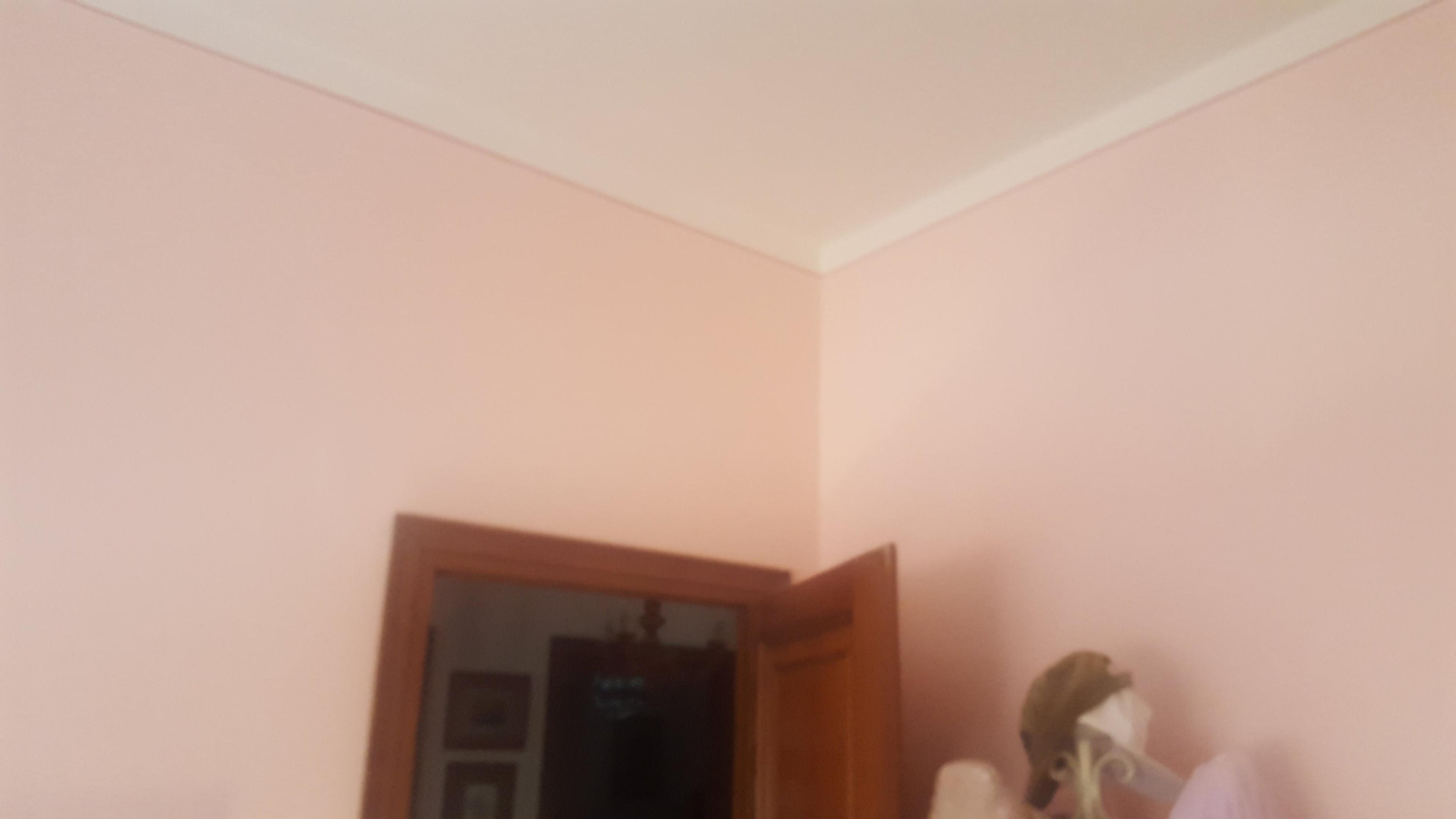 496a3873-0db3-4001-8306-dc0039c5c0a5.jpeg