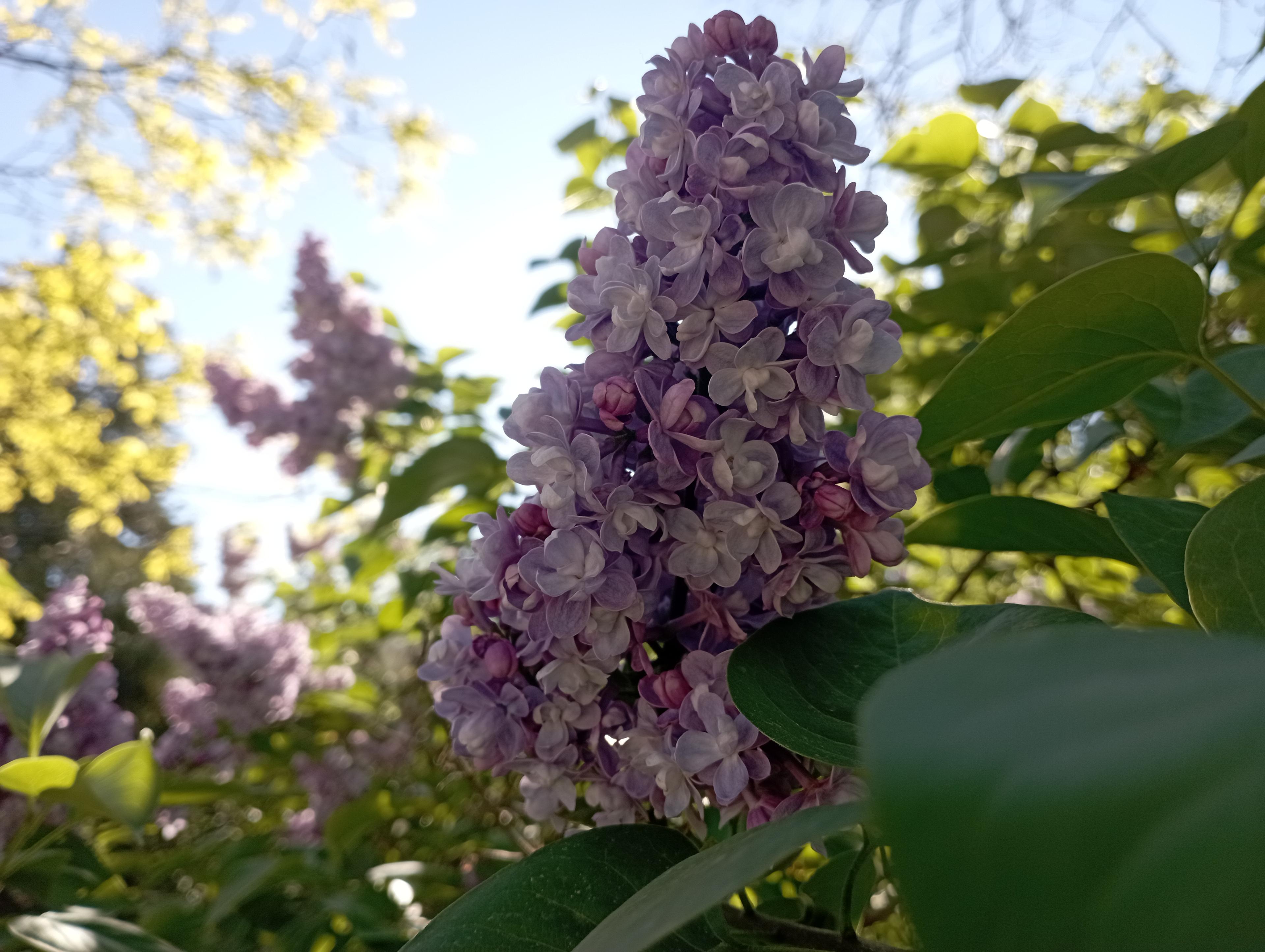 49fd21ad-72d2-40b9-a24c-d2daf491b25d.jpeg