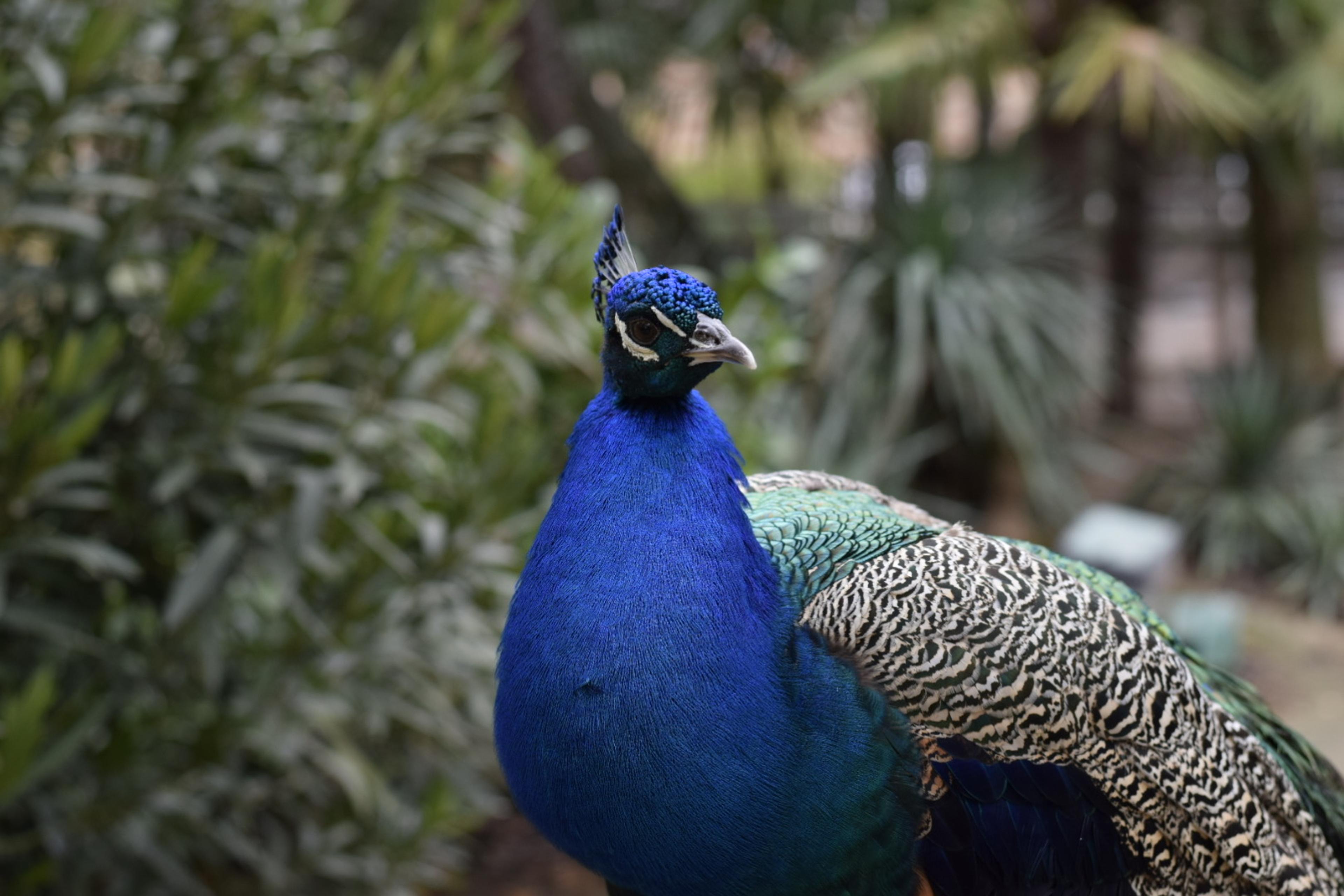 4a6b9b58-a531-486b-bae5-b496d59e9fcc.jpeg
