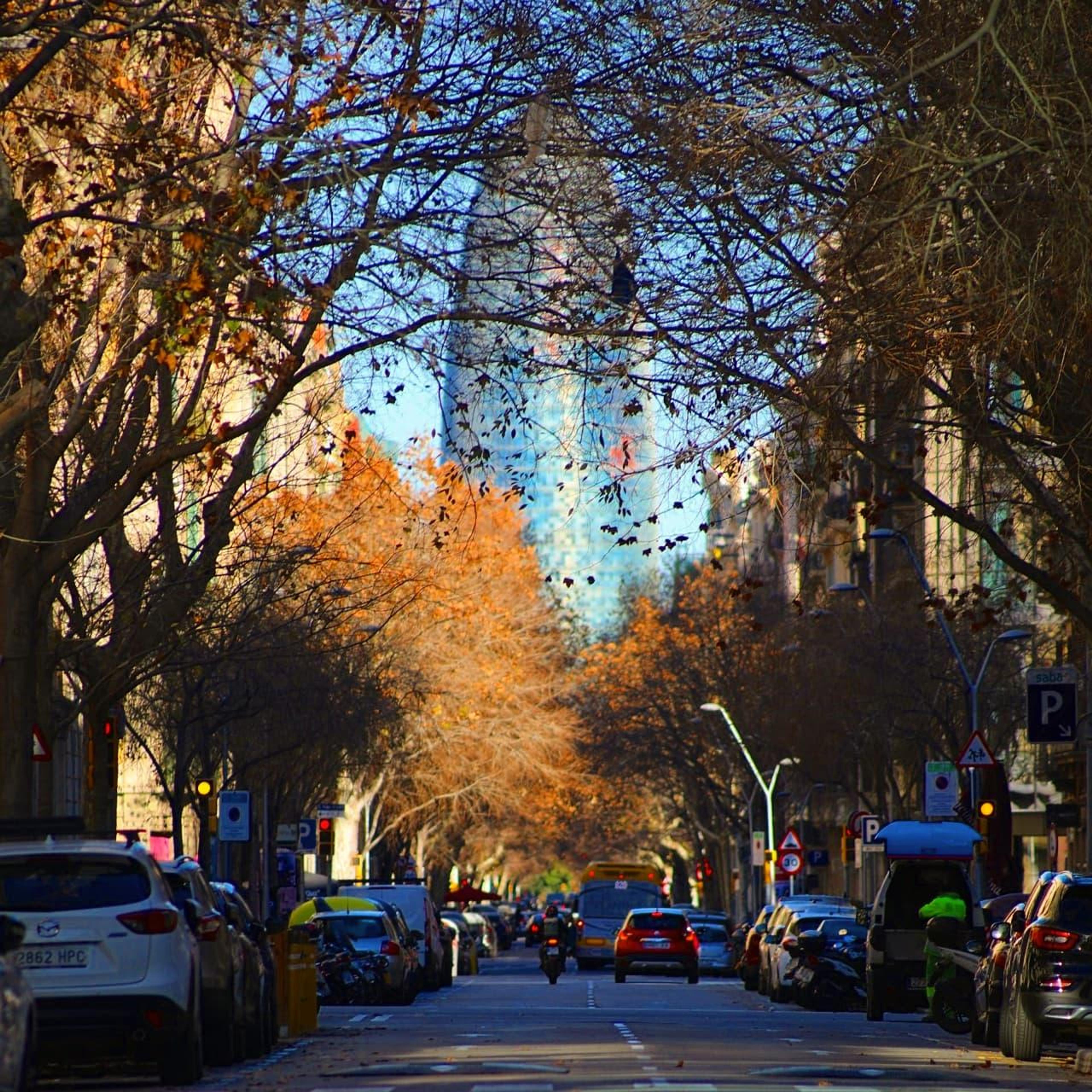 4bcec1c8-e09b-41ee-83a2-a94bb40befa1.jpeg