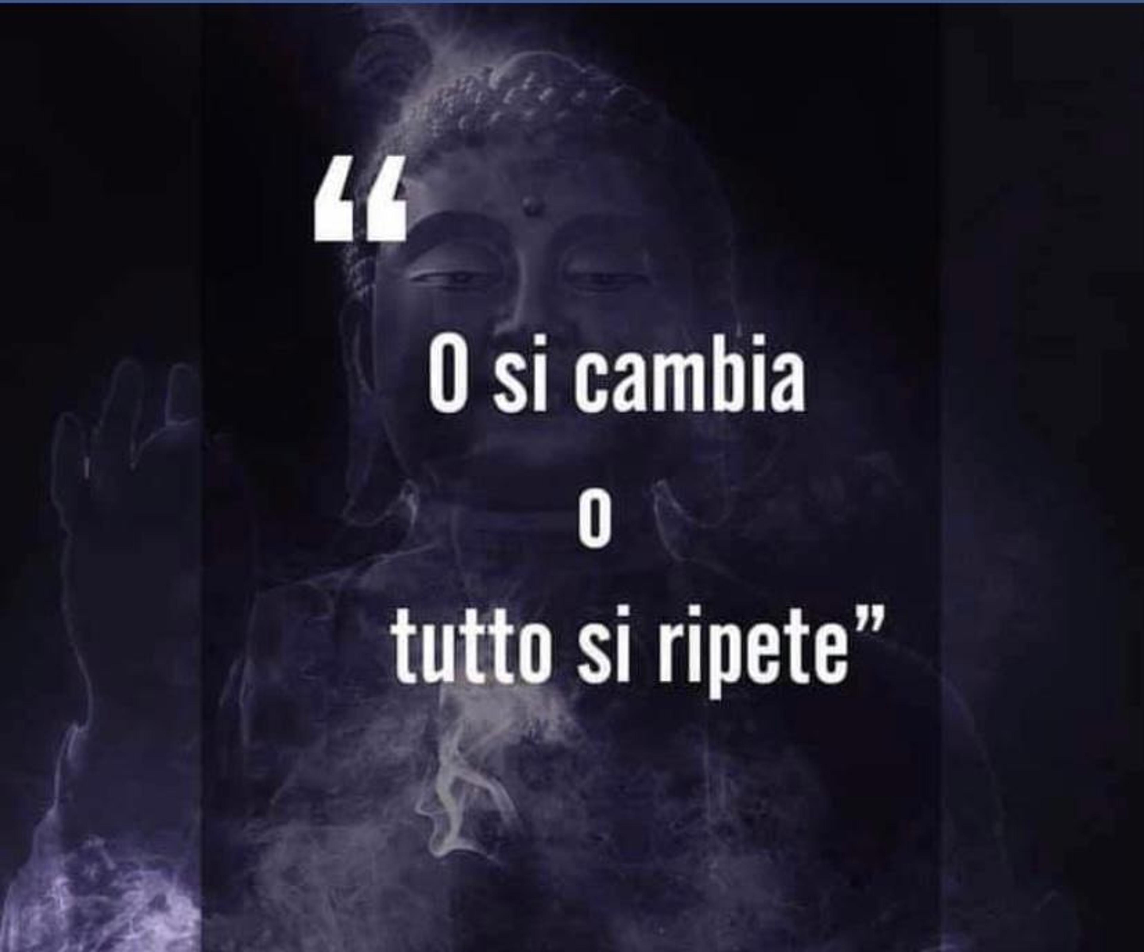 4bdfe48e-88a6-4ccc-ba8d-0b524fef66c0.jpeg
