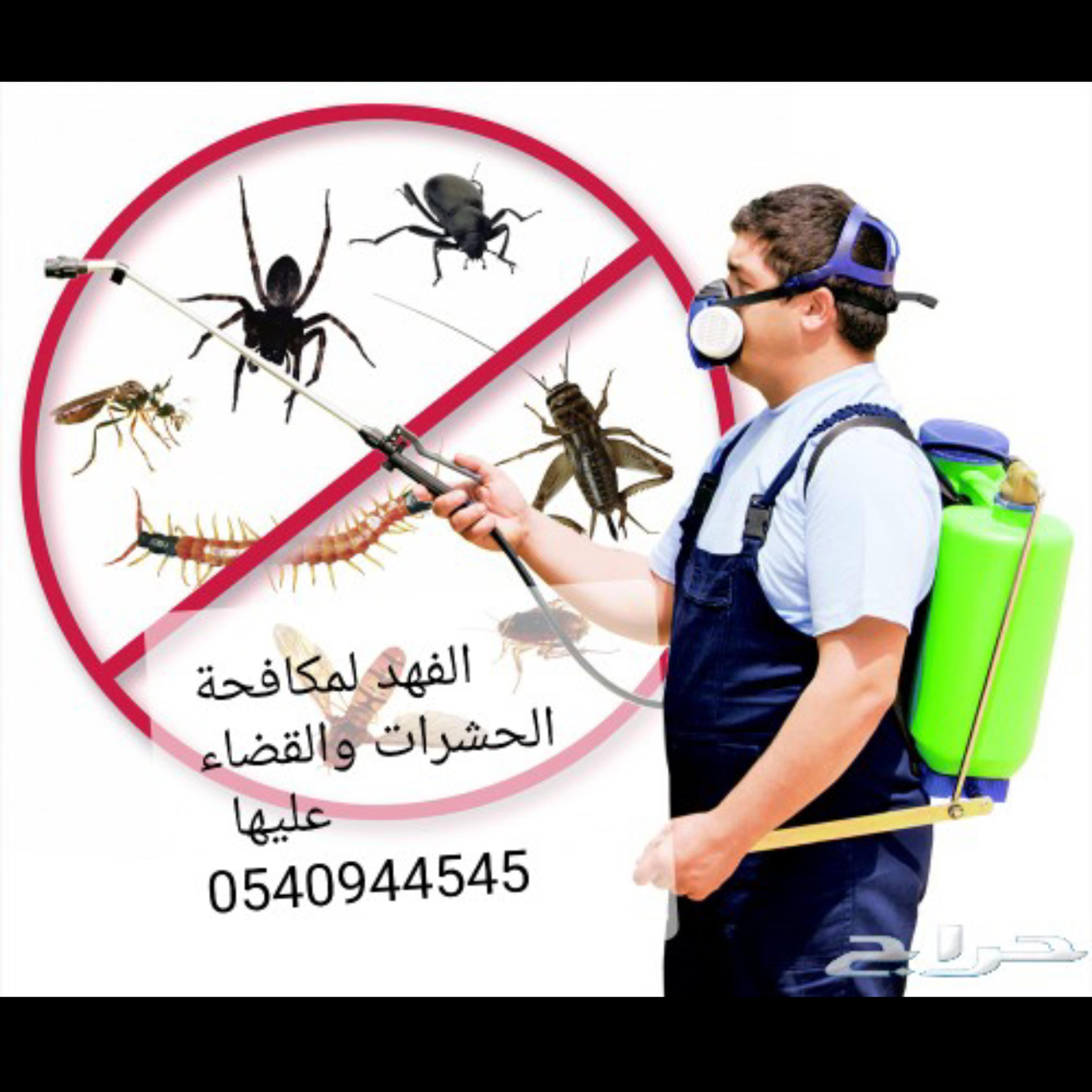 4c045d3c-cc88-40b2-8d4a-3e3c5383b9ff.png