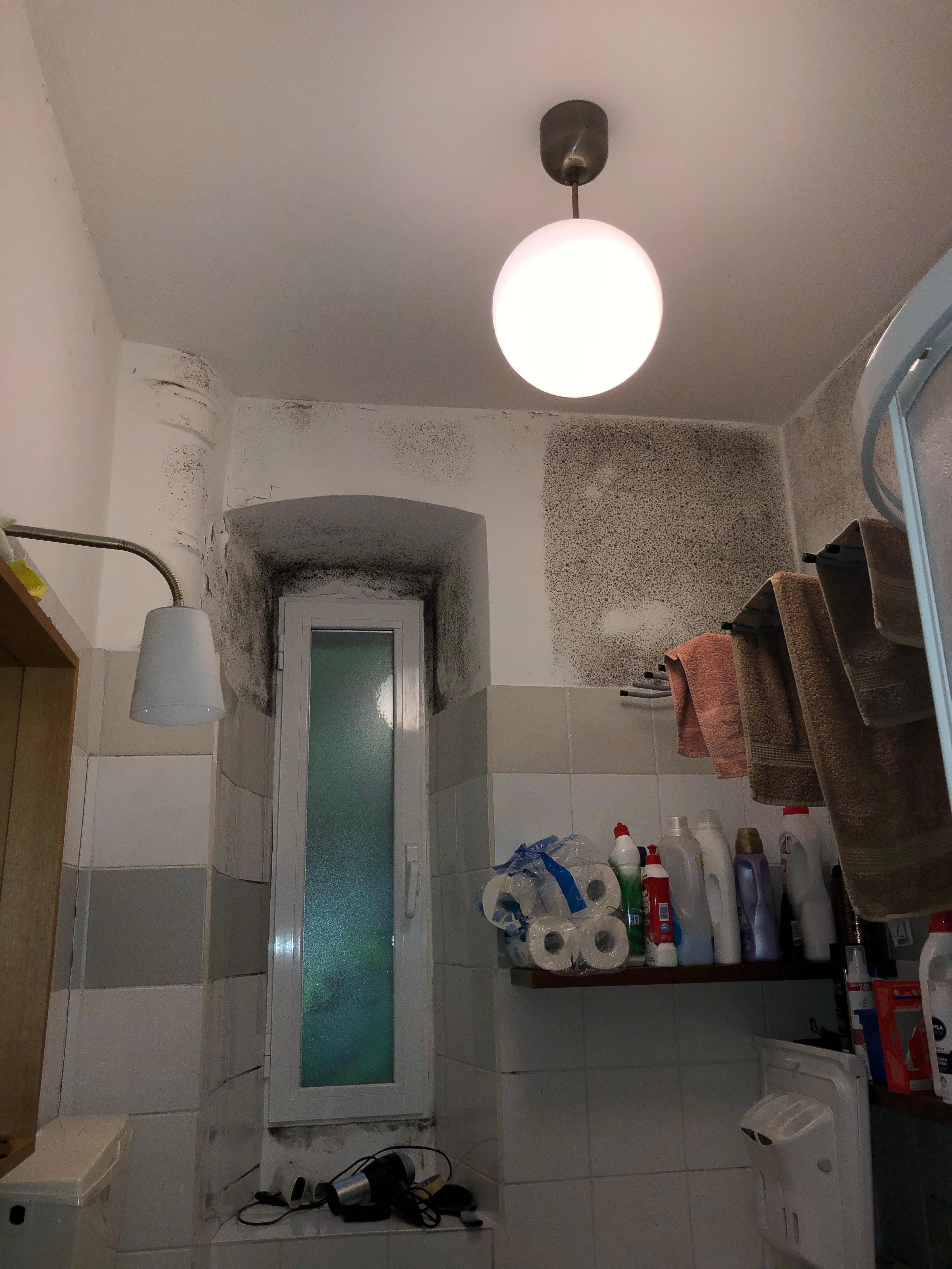 4ca44d69-225c-4fef-8e43-e727447934ce.jpeg