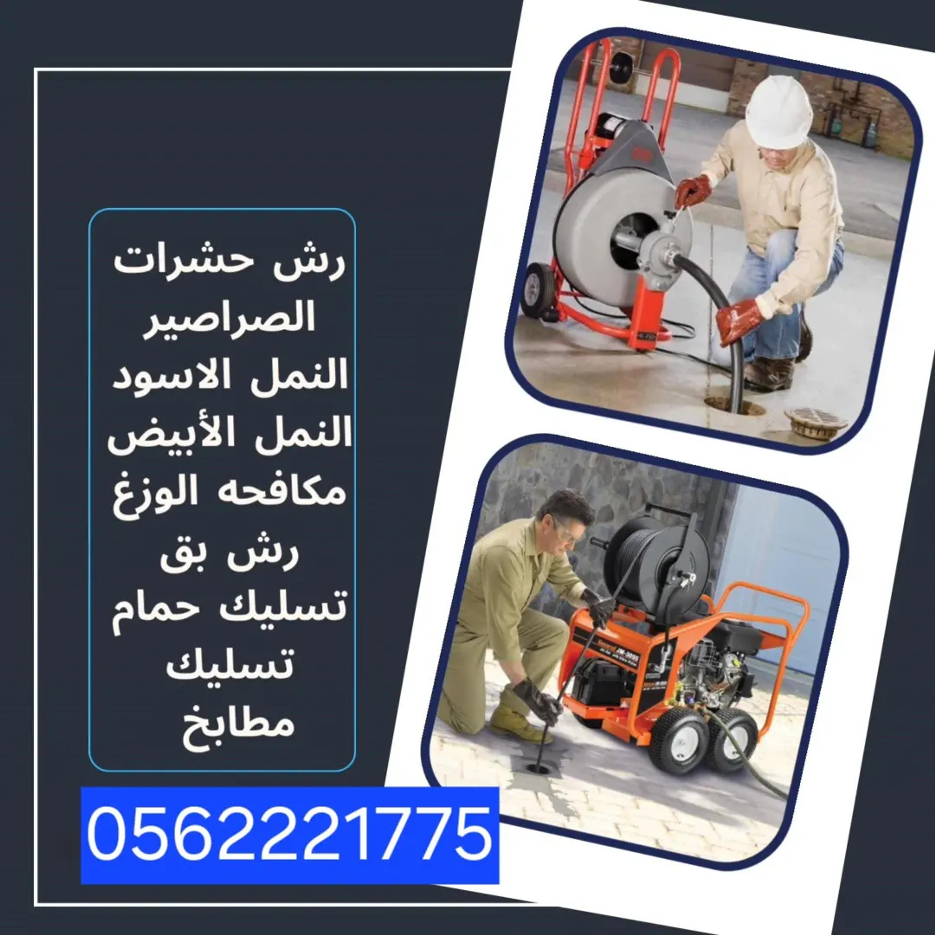 4d237218-4b45-4937-ac71-5ade4ed7fcbe.webp