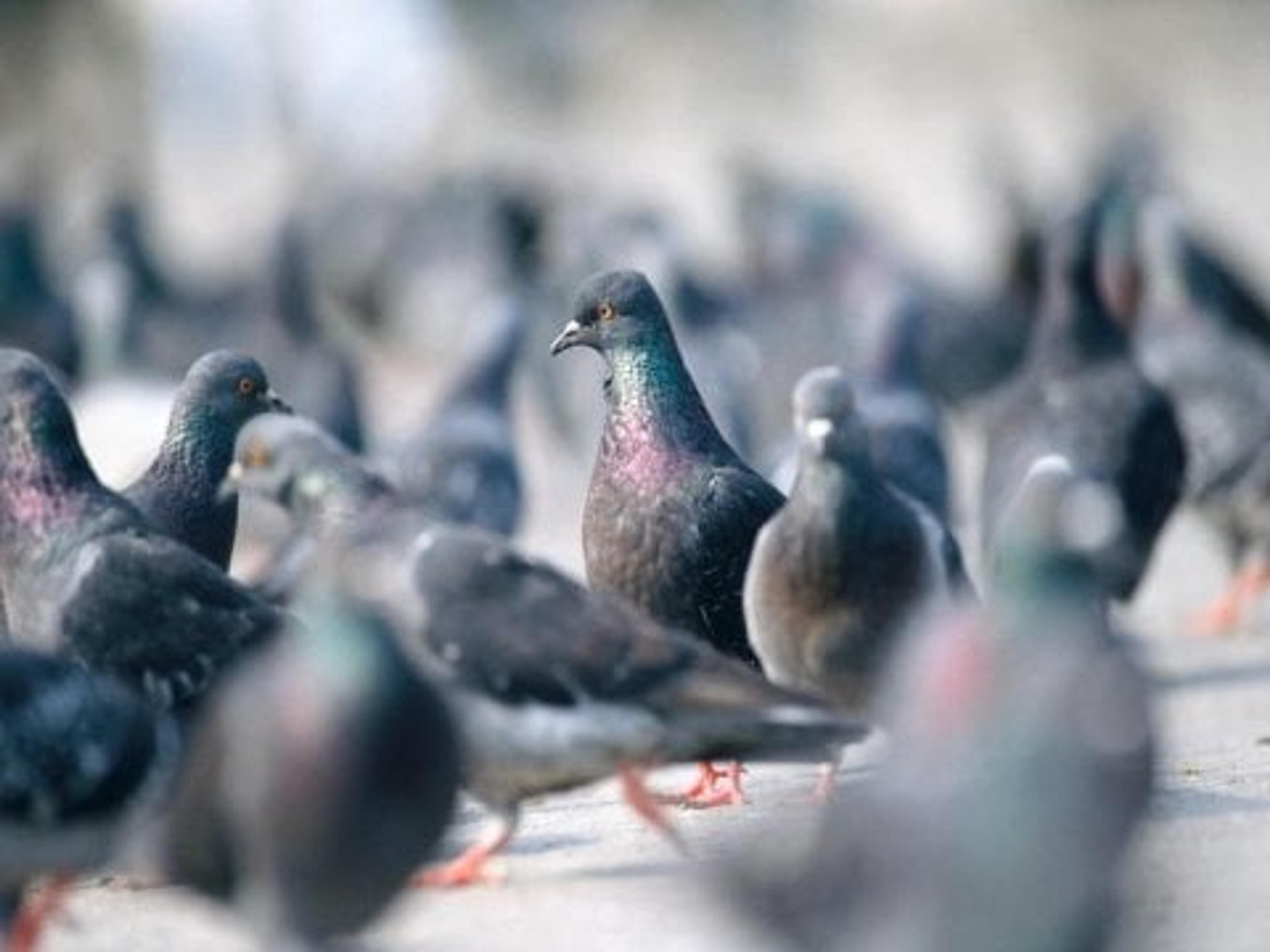 4e4ab4d1-2ddb-4288-a901-b28f69552fbb.jpeg