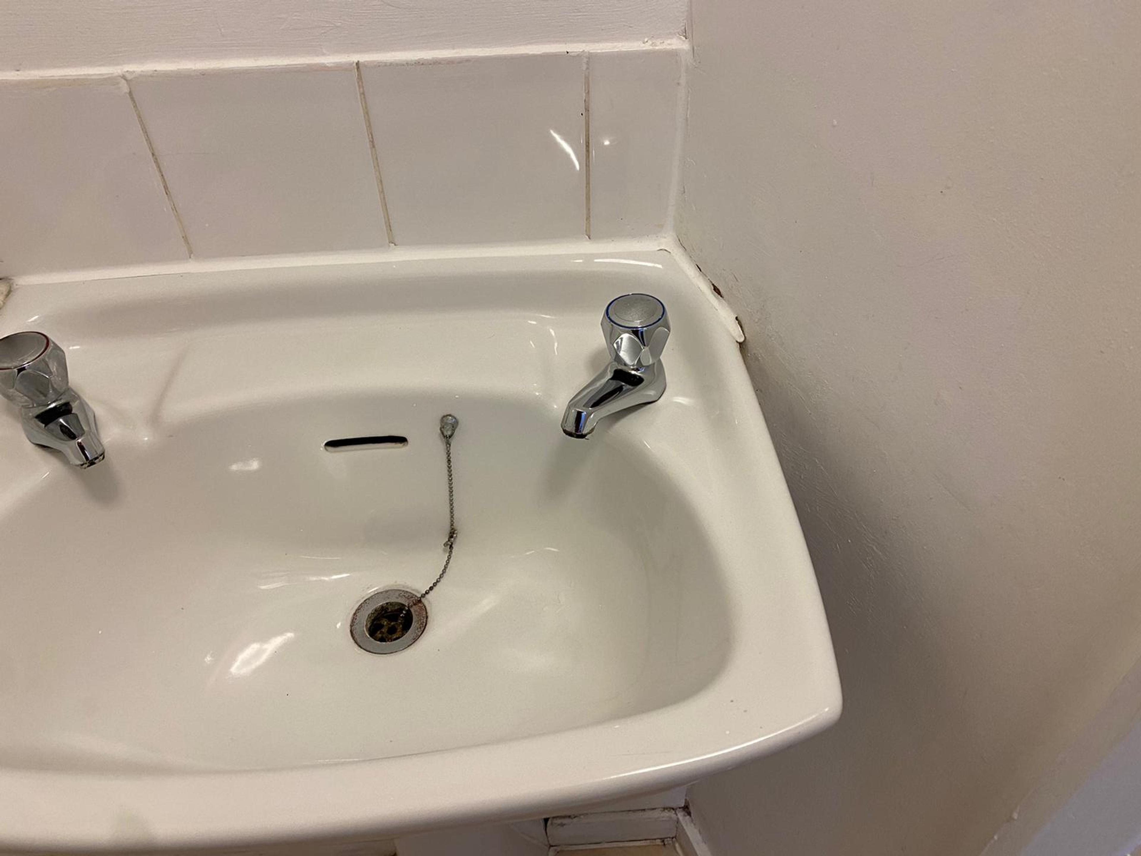4e6b84ed-7ced-4cfe-a07f-348dbfbe3653.jpeg