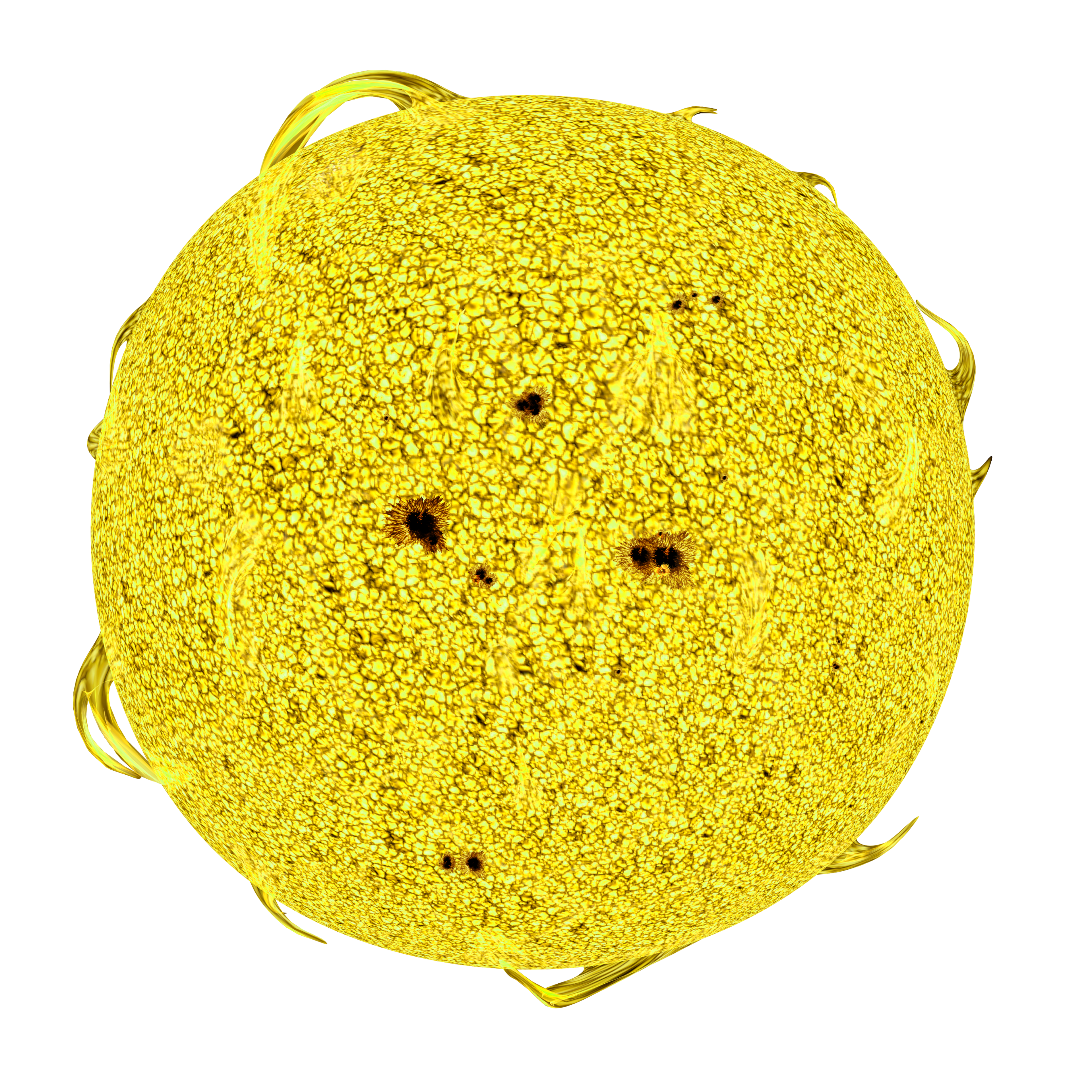4ef141f0-0da4-42d8-bafc-e7e365e1513d.png