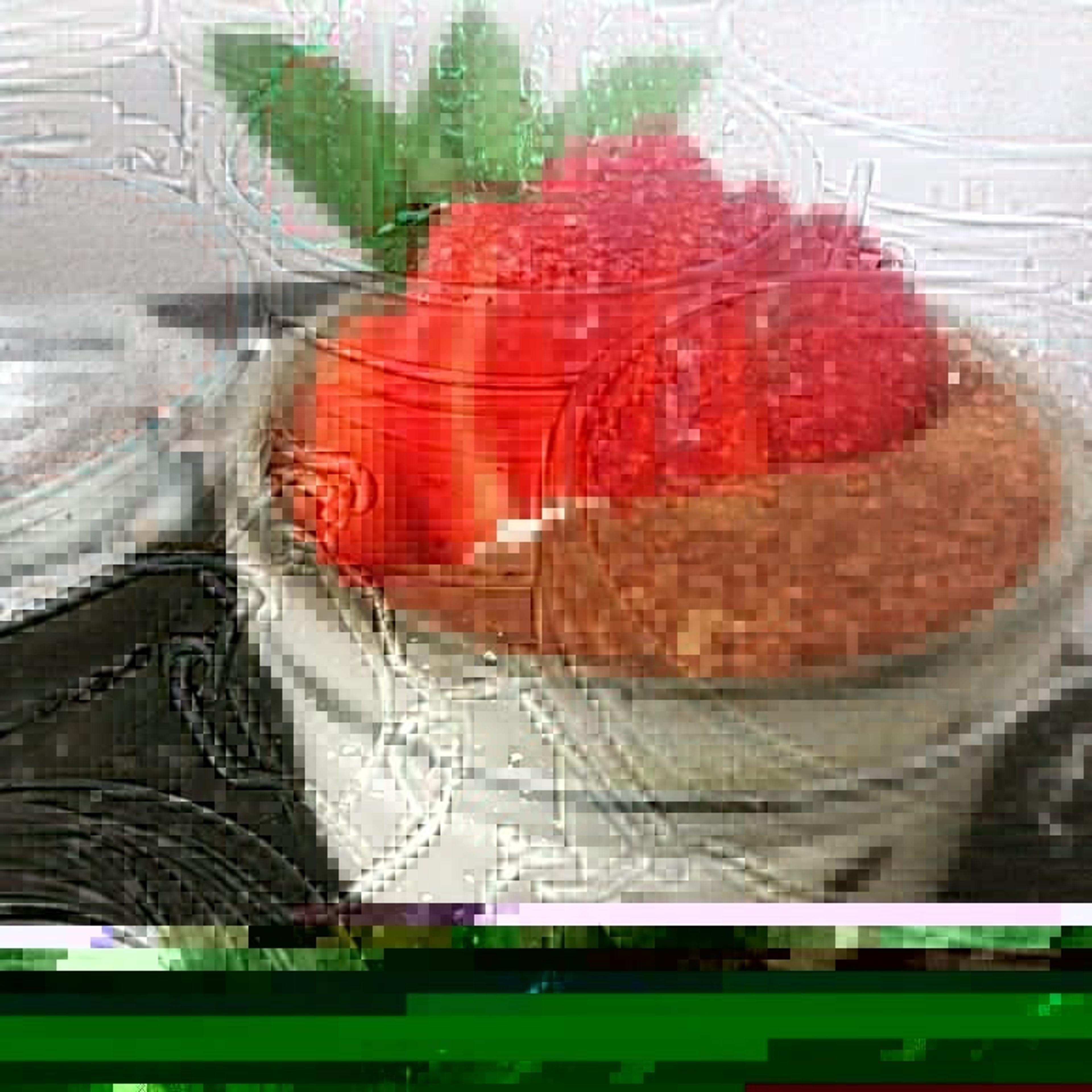 4fbf5cc8-0824-4cd3-be72-5609830834fc.jpeg