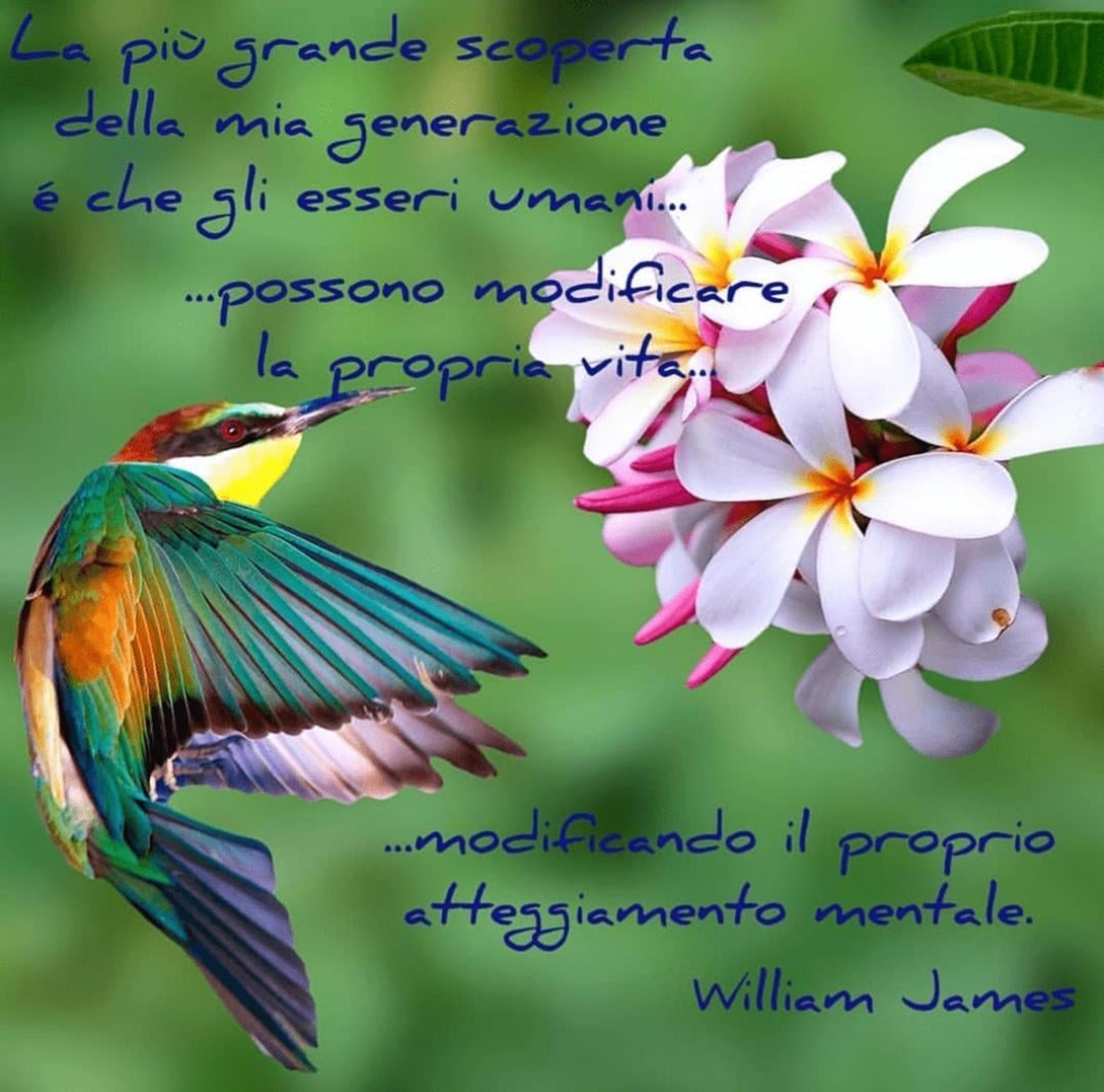4fc21efb-ba46-4bd6-af20-56f53c452402.jpeg