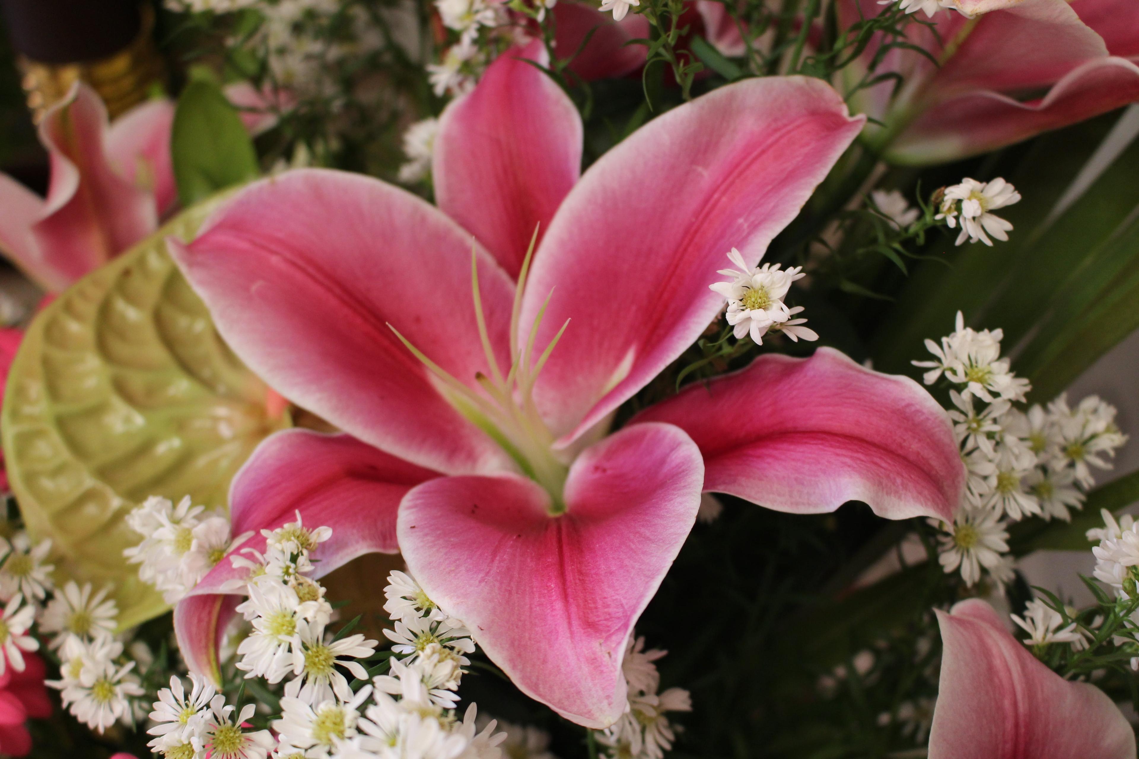 50be416e-c575-40b4-8f36-d29156d93def.jpeg