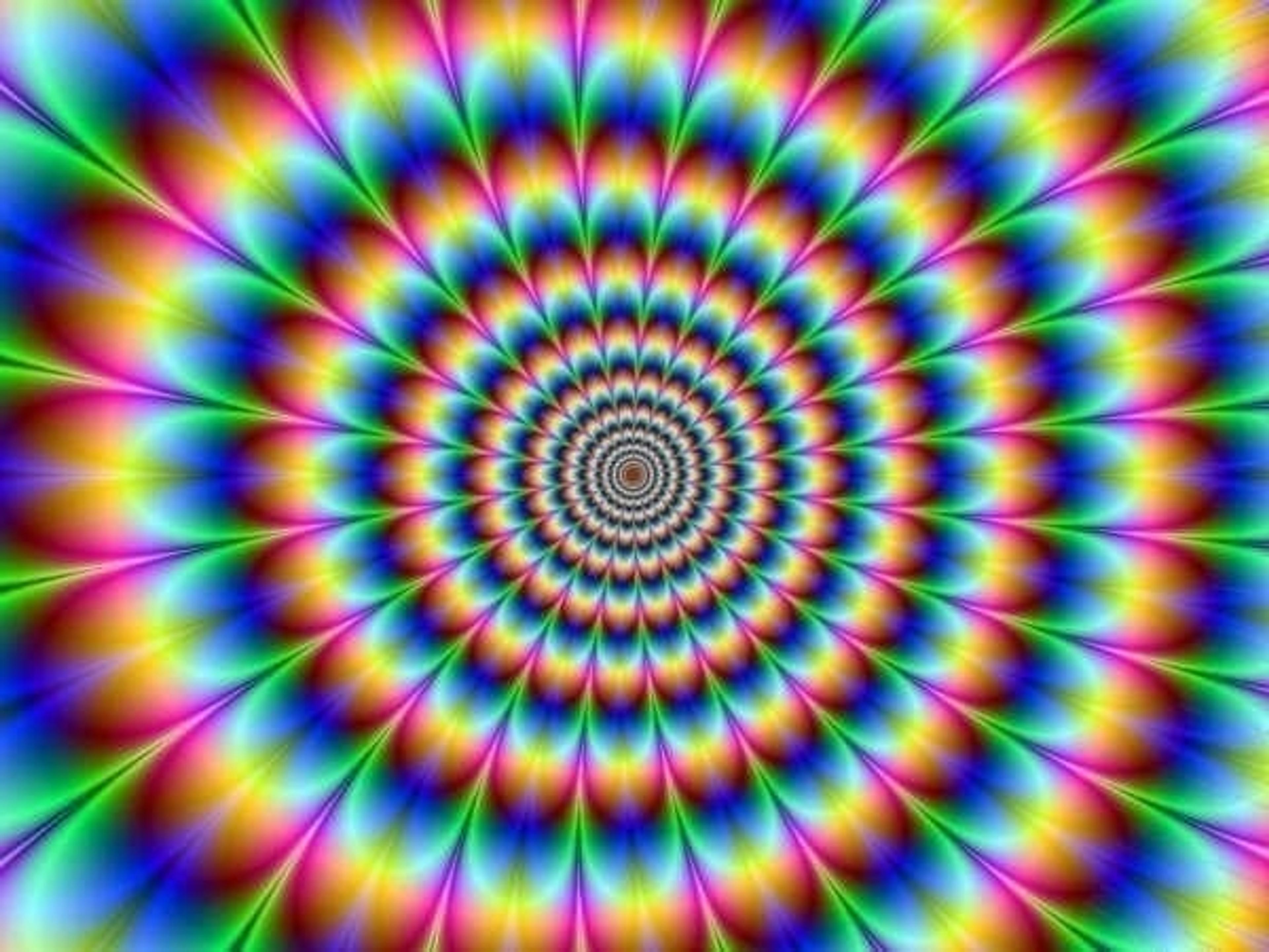 51297fb4-b855-4085-9bc9-5bc2a106c226.jpeg