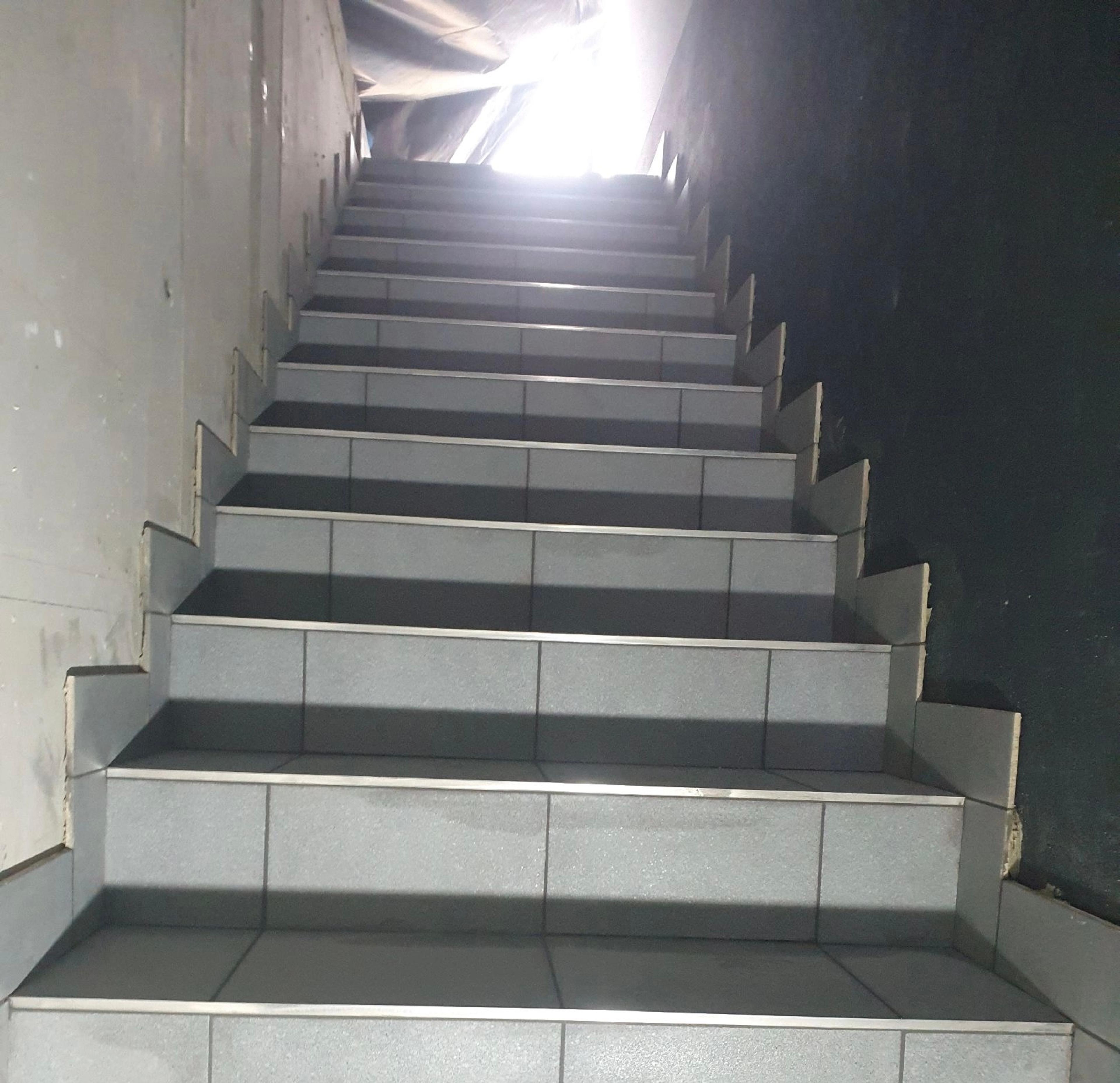52aa5009-1988-4c0d-8076-d12c95a69078.jpeg
