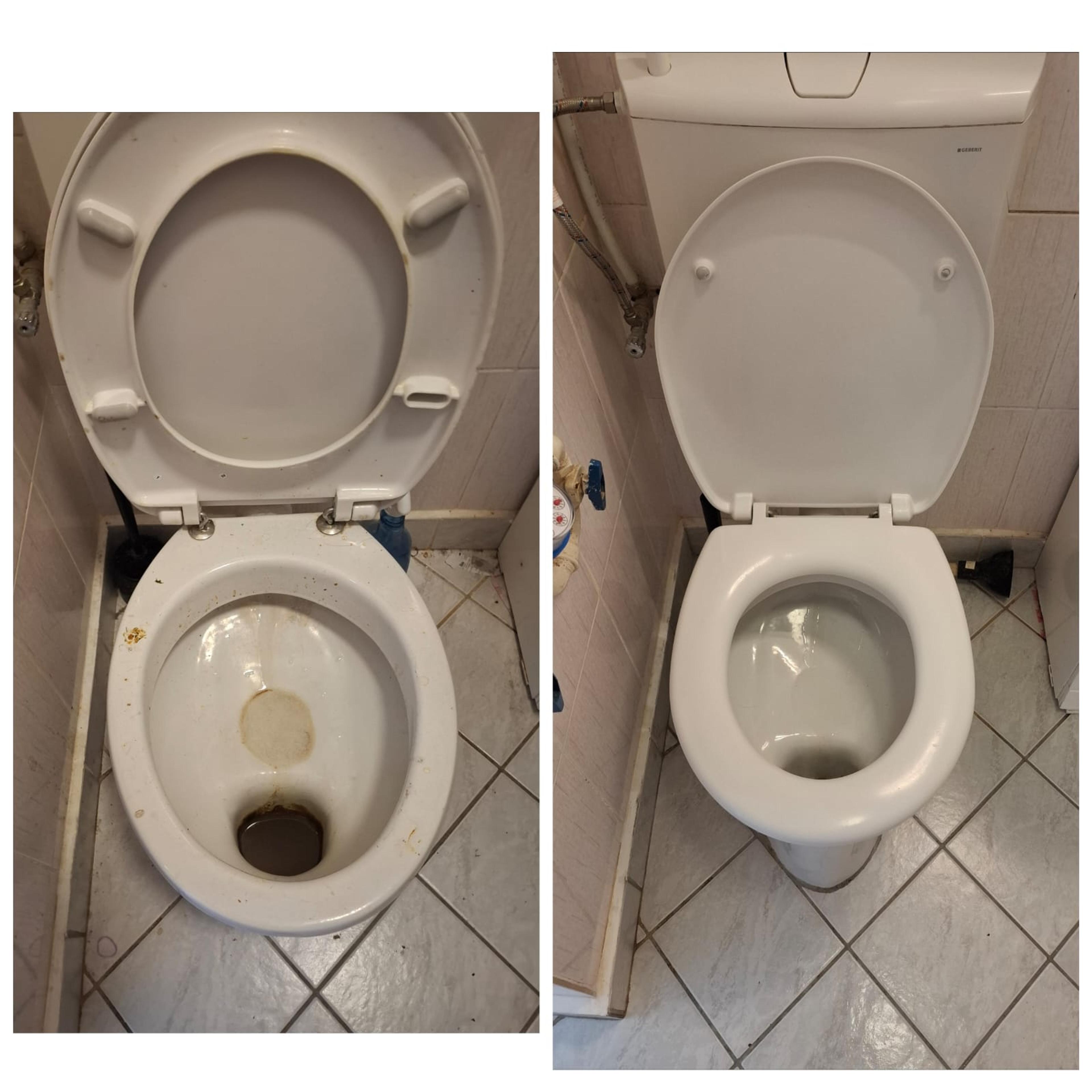 52ab5561-dc69-41d6-bb36-c785abb78b94.jpeg