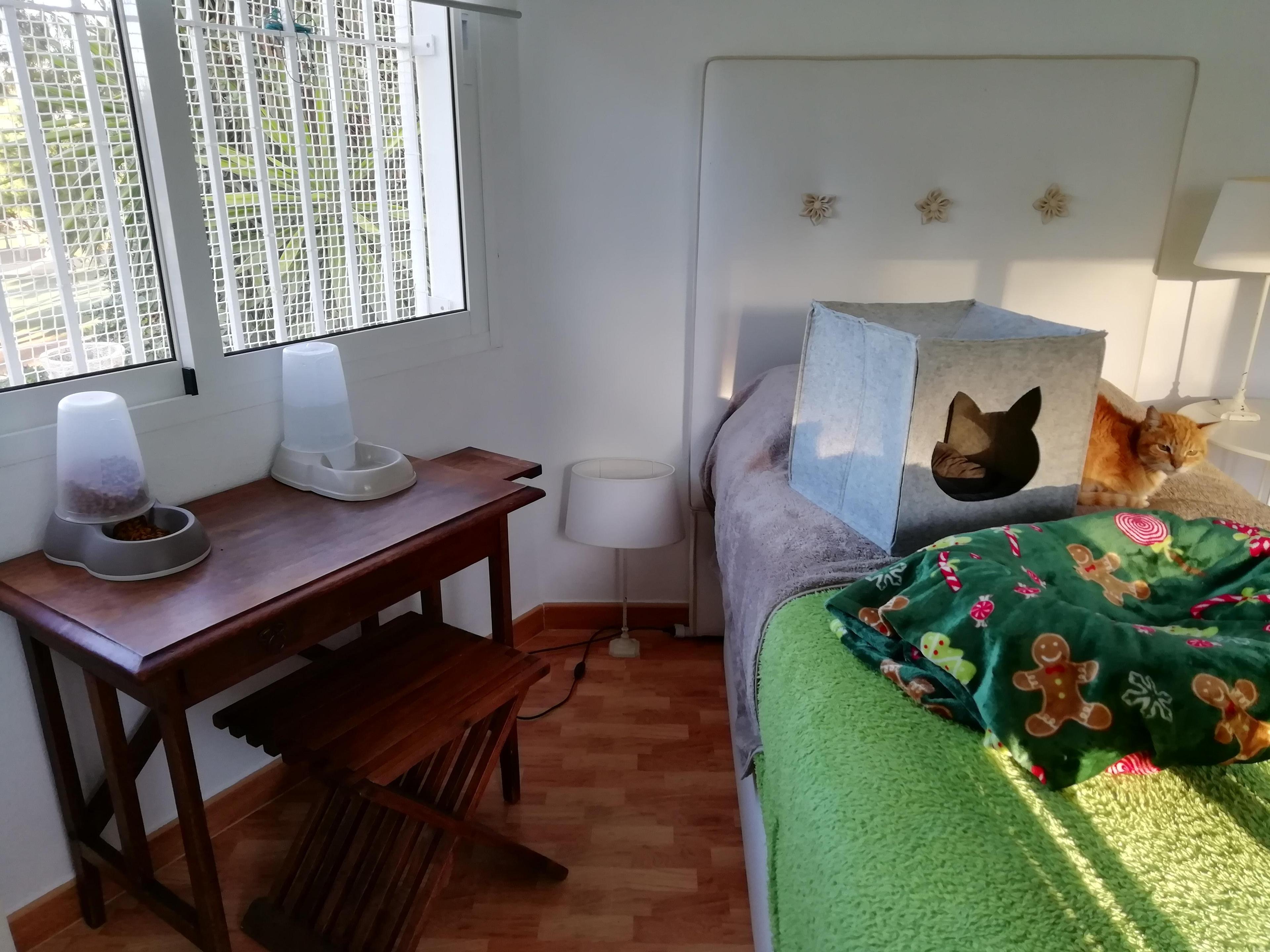 52adfa26-f1d6-4d89-acf2-0cb574949ead.jpeg