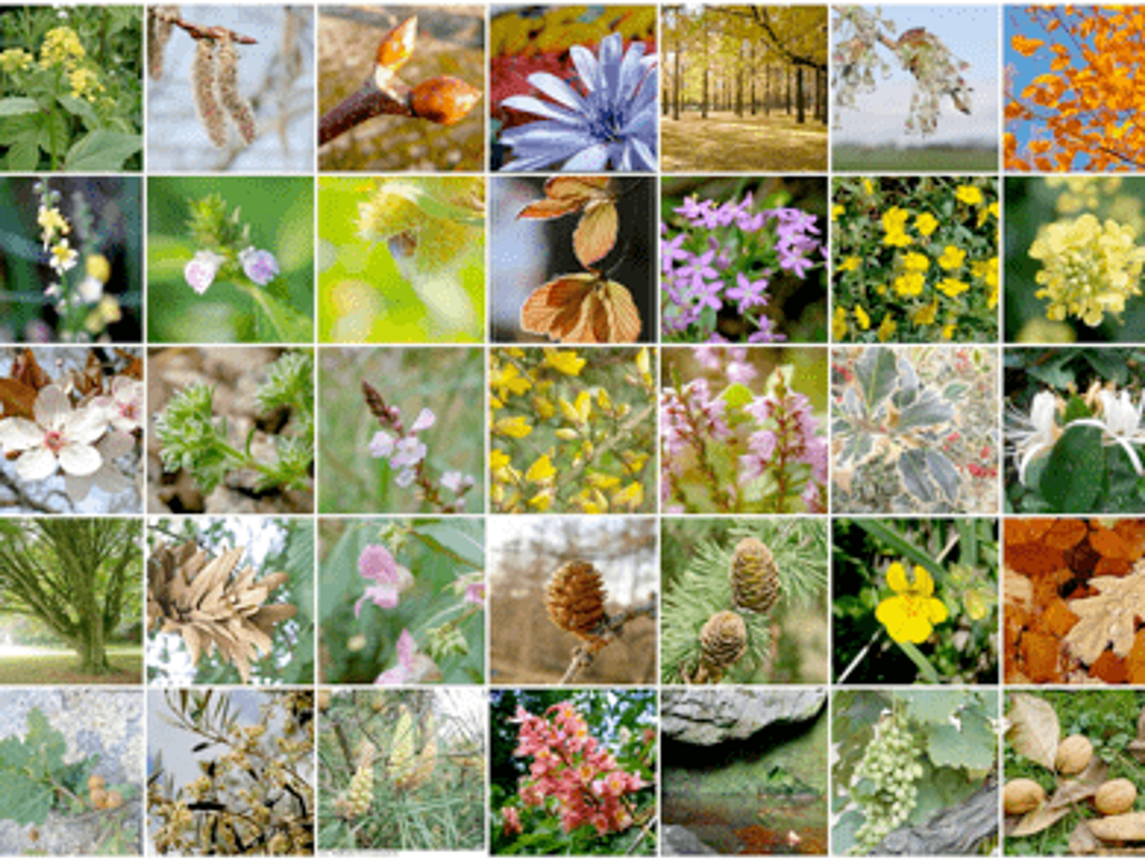 52e37728-066e-4dc4-95e9-d45460ebca74.png
