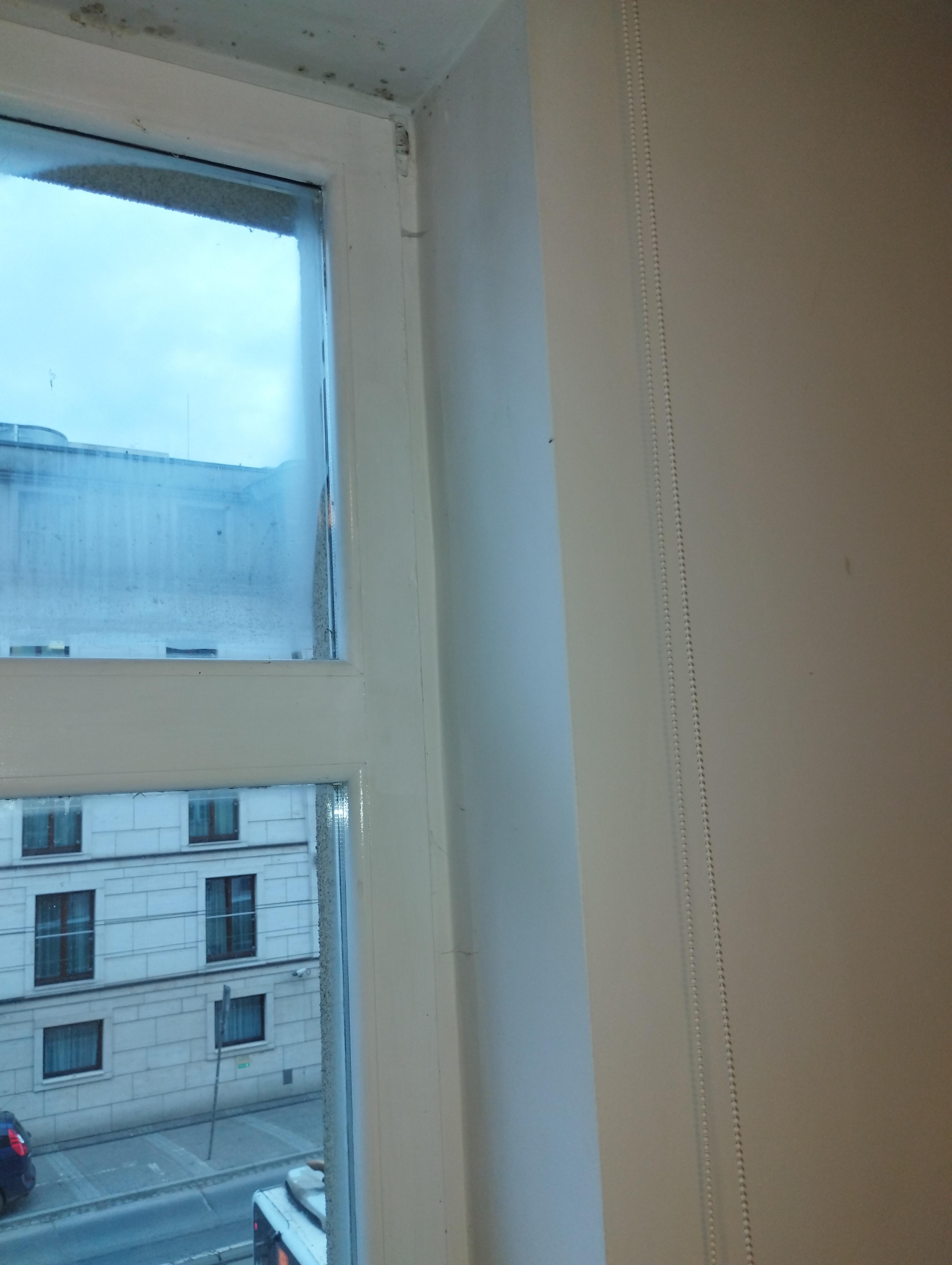 52edee99-1108-4b1b-82cb-b16b501b64af.jpeg