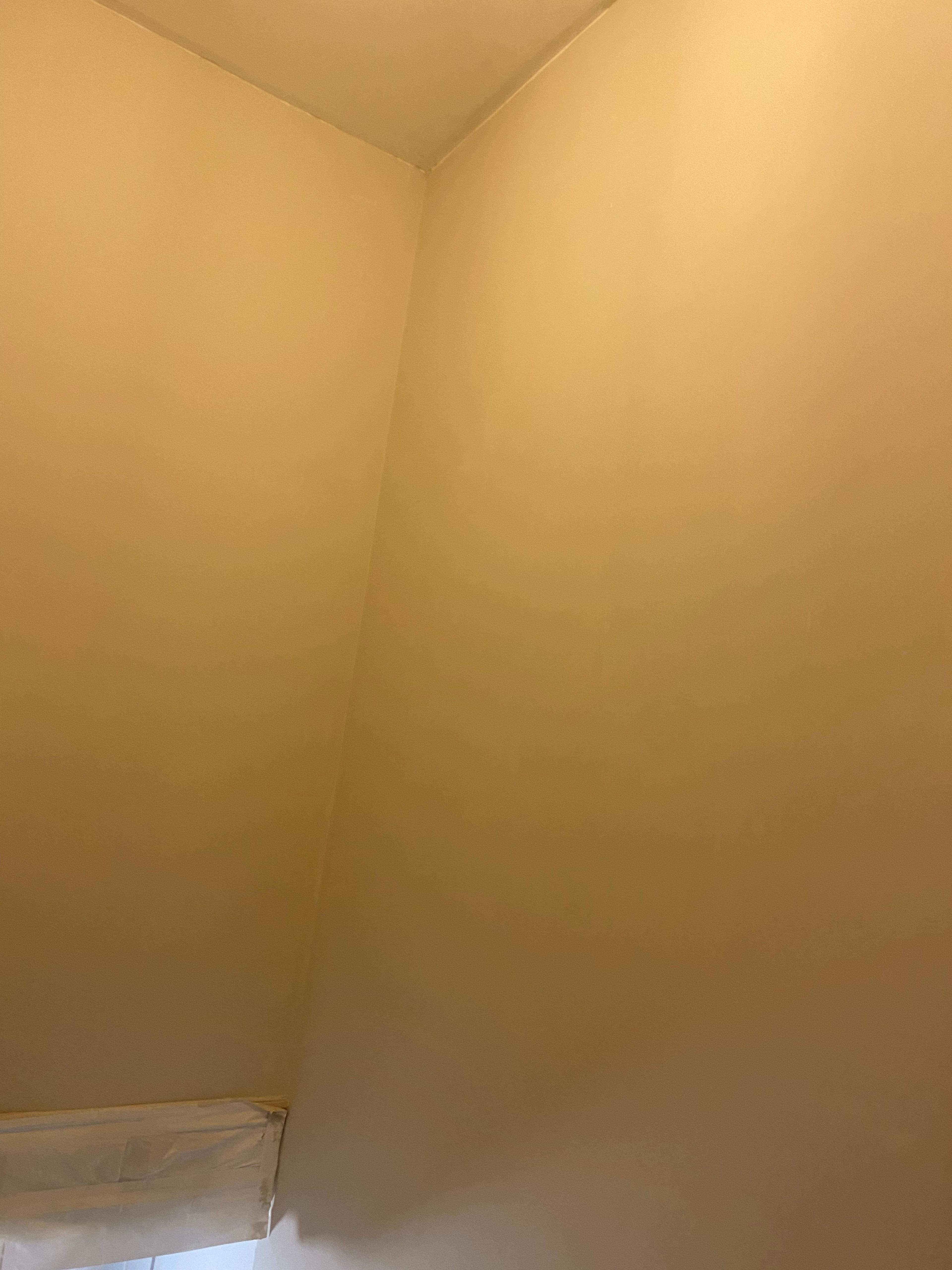 53d48f5e-66c9-42bc-b695-659dec7b4095.jpeg