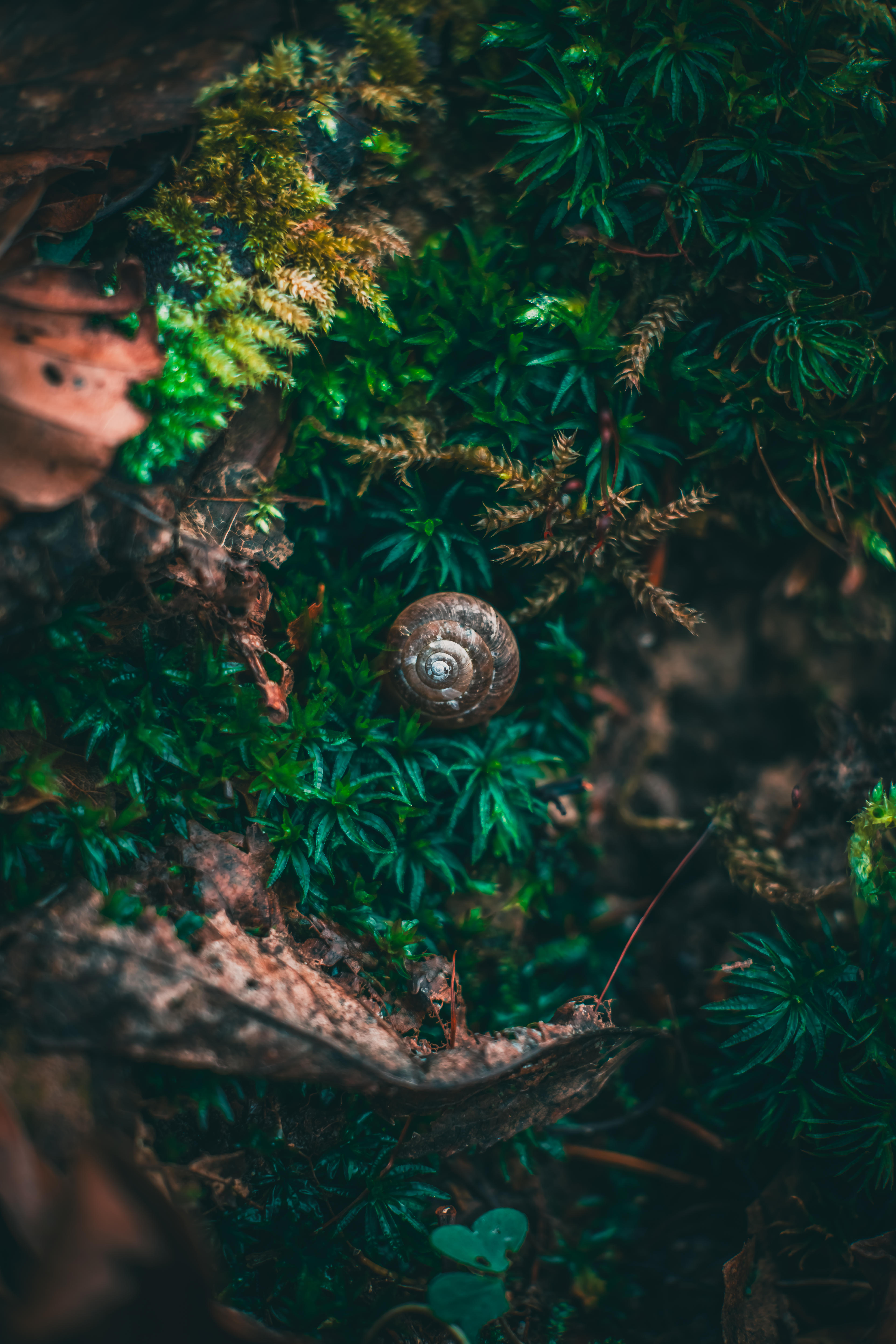 53e4e0d7-a734-40d7-a8c1-1d78fdc17032.jpeg