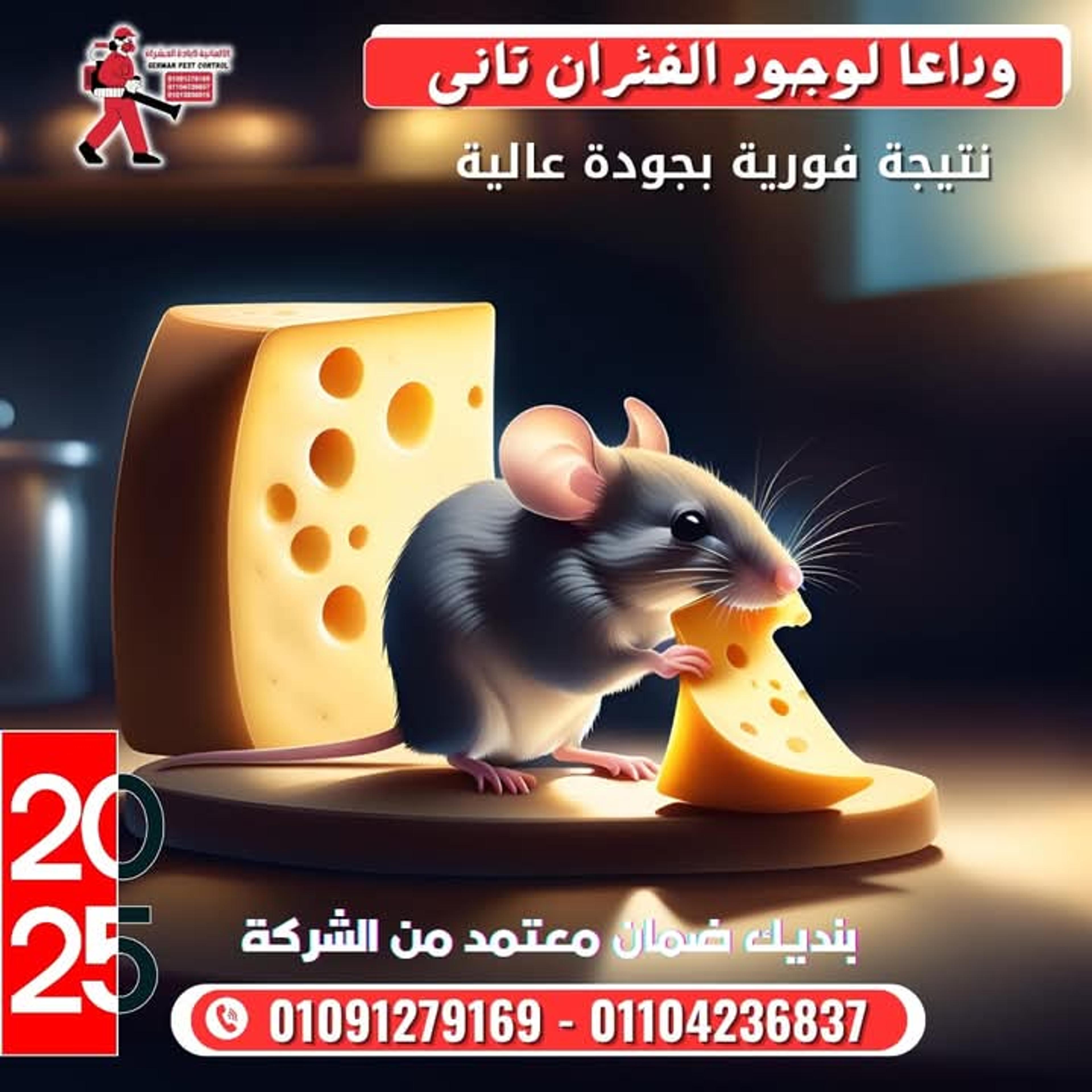 54225850-a871-4fb1-82d3-9d476fe6a488.jpeg