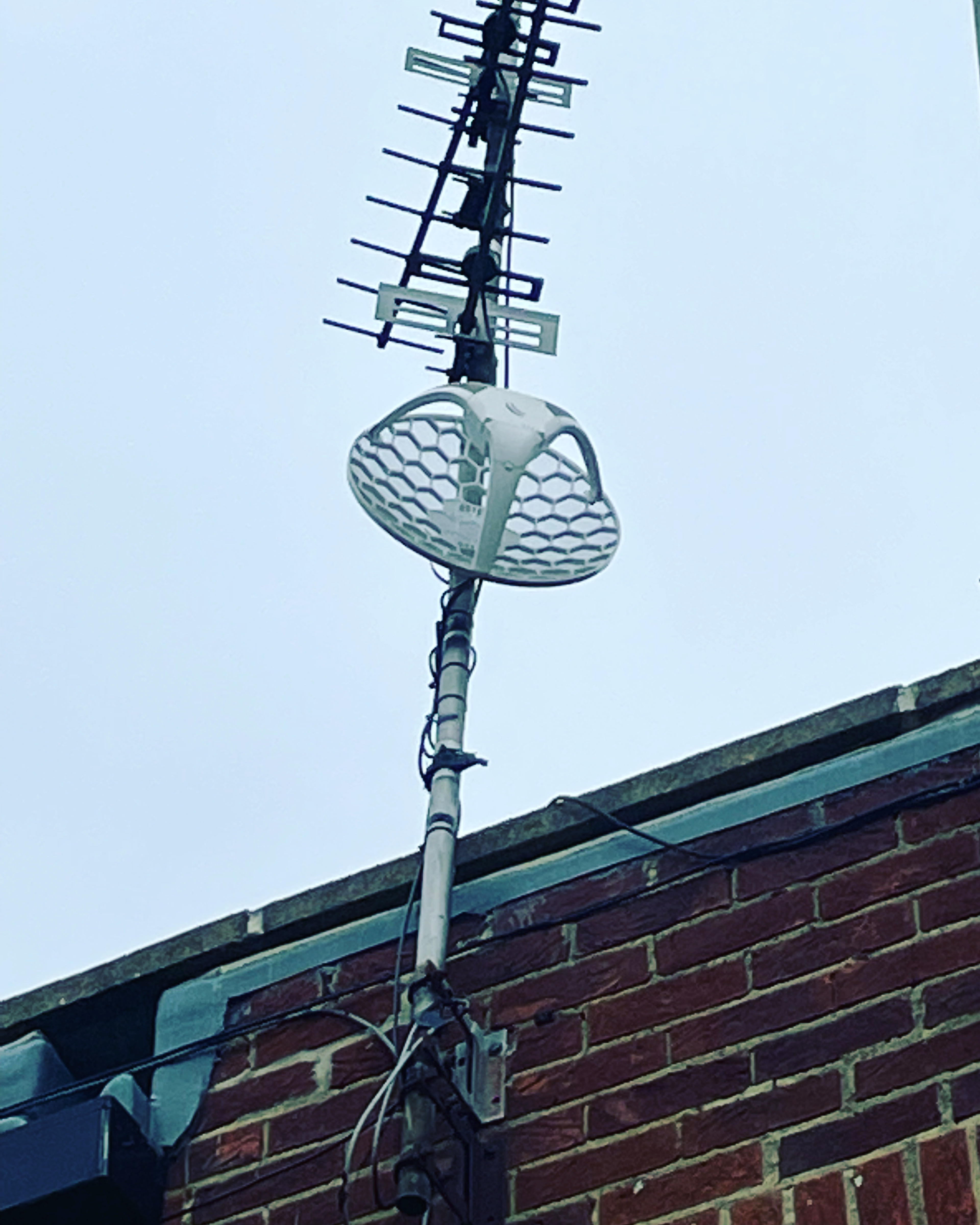 5440250d-2bf2-4119-890c-73b41e601895.jpeg