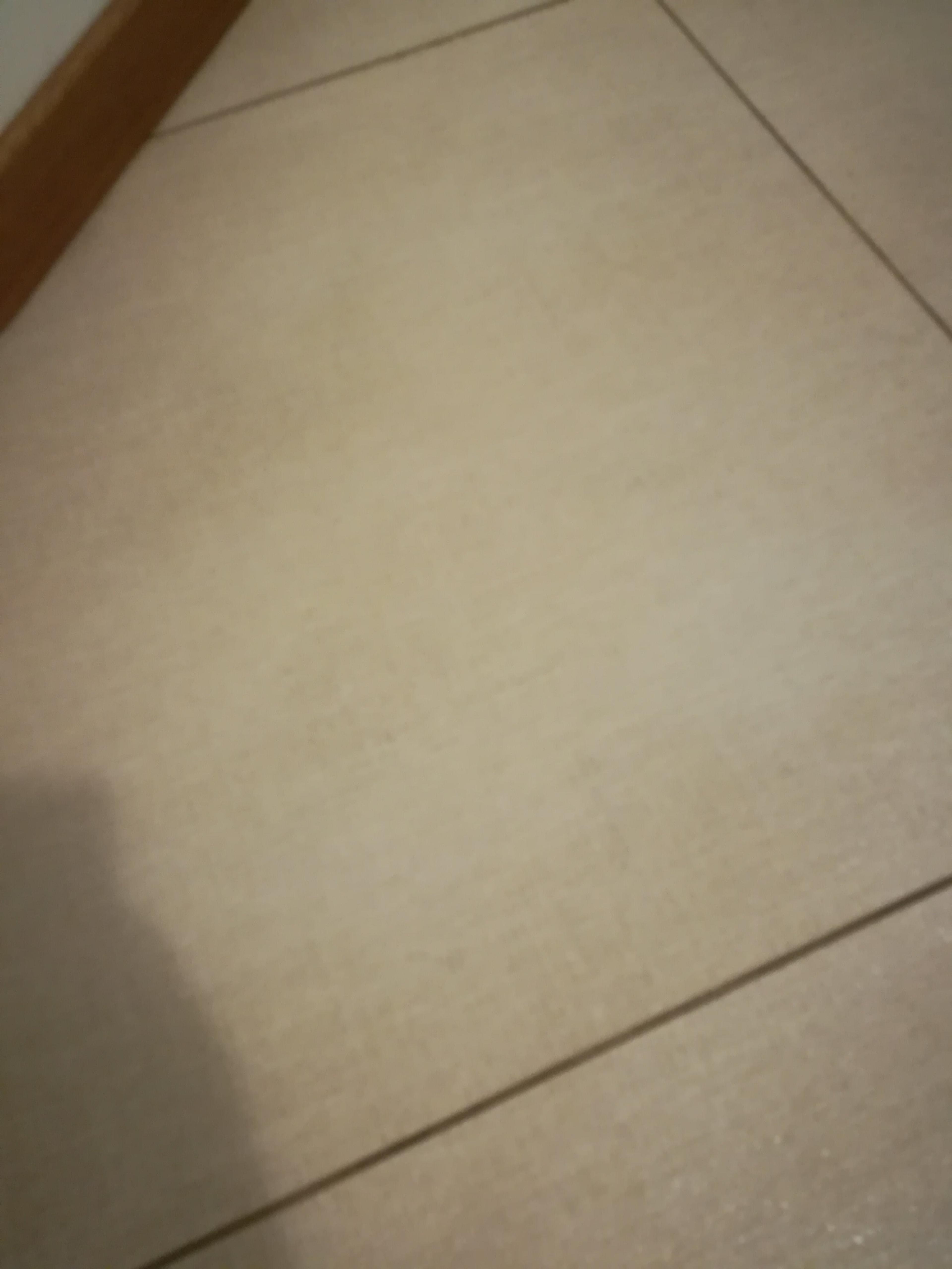 54431618-f33c-4d54-8e09-05f5f2de9593.jpeg