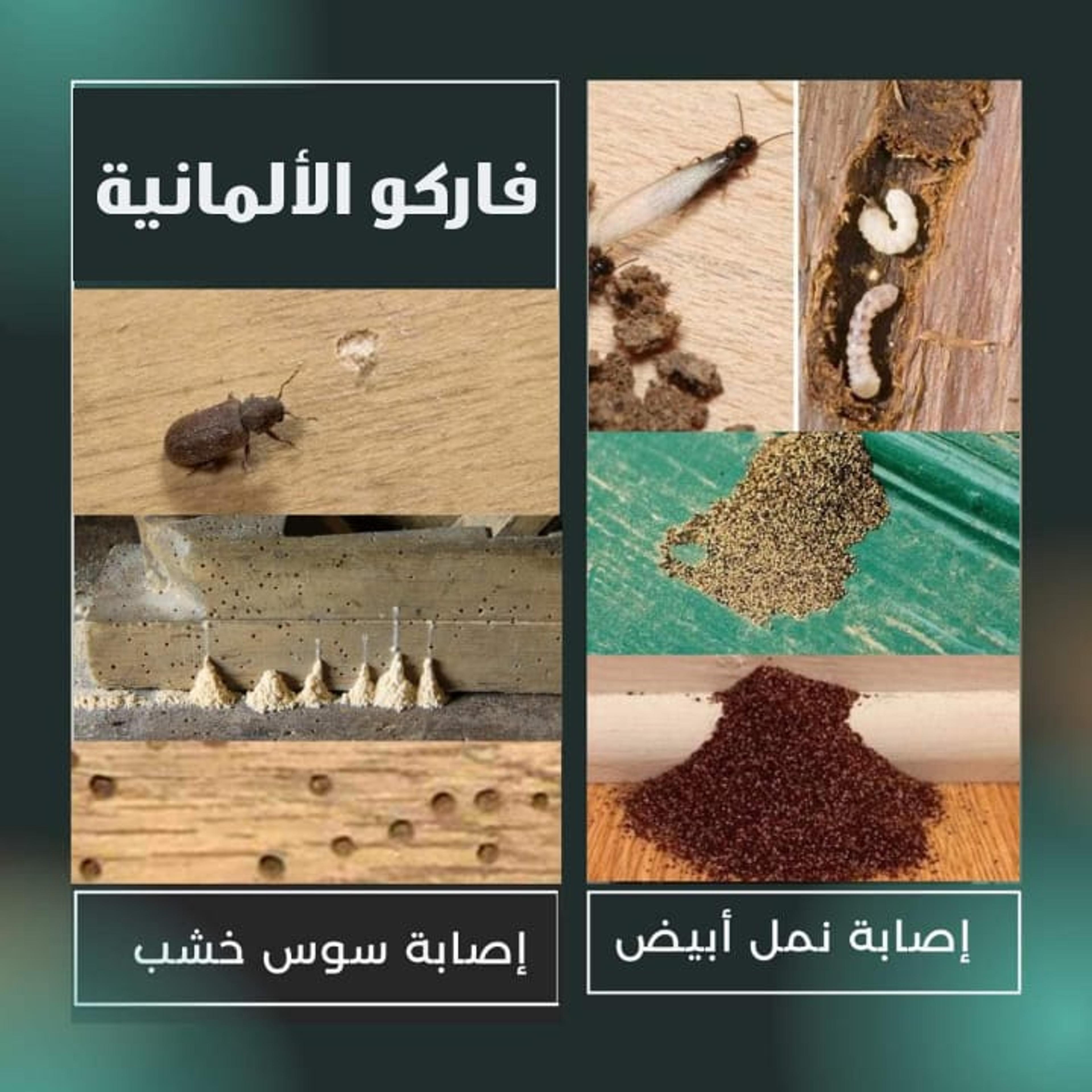 545835ef-d0a6-4bea-b8bb-af35b553ae73.jpeg