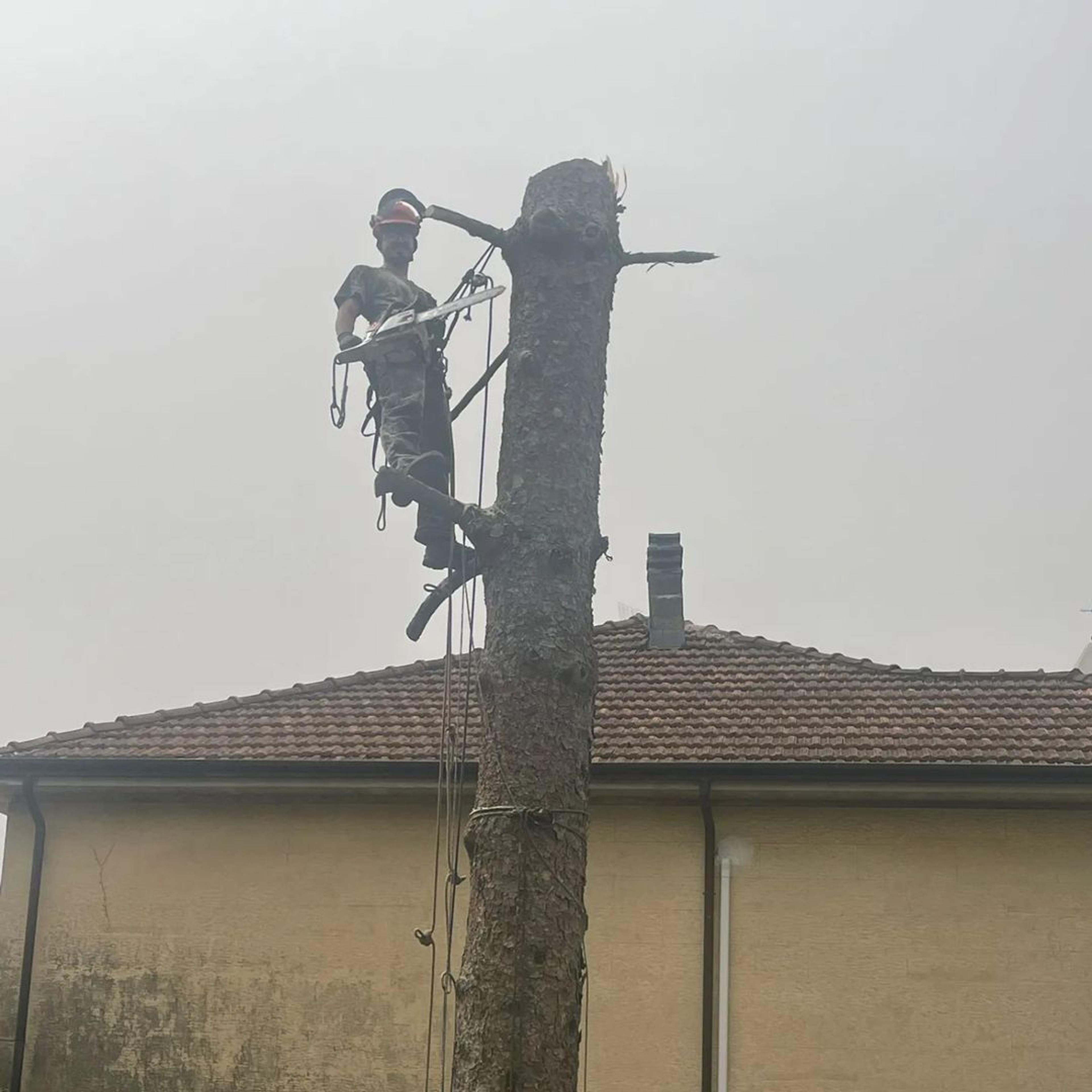 546d8905-e7e1-43d5-a0c0-3f2a196aaad0.jpeg