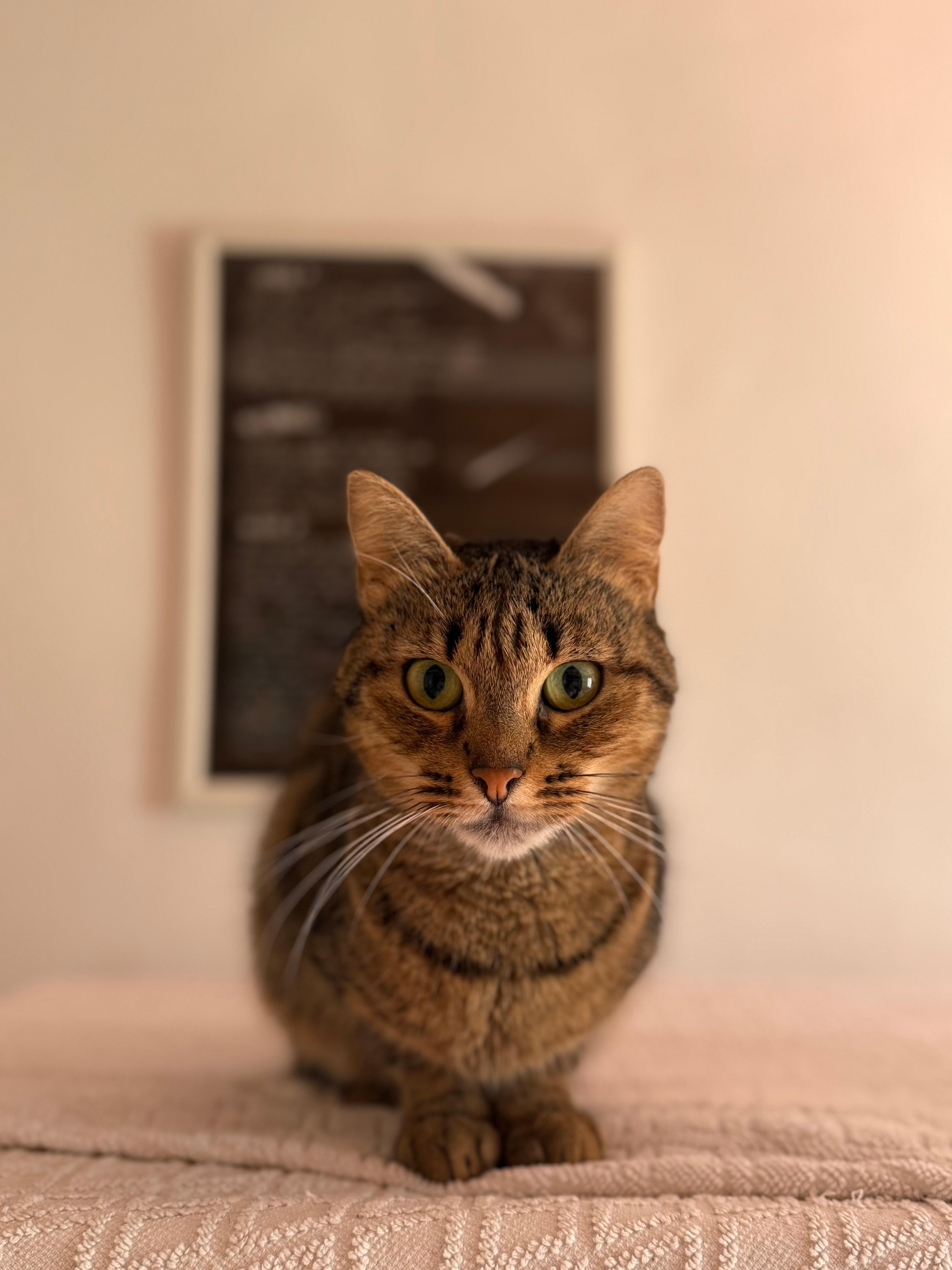 54a70346-e22c-48c2-9d1c-d5bd1c75ab71.jpeg