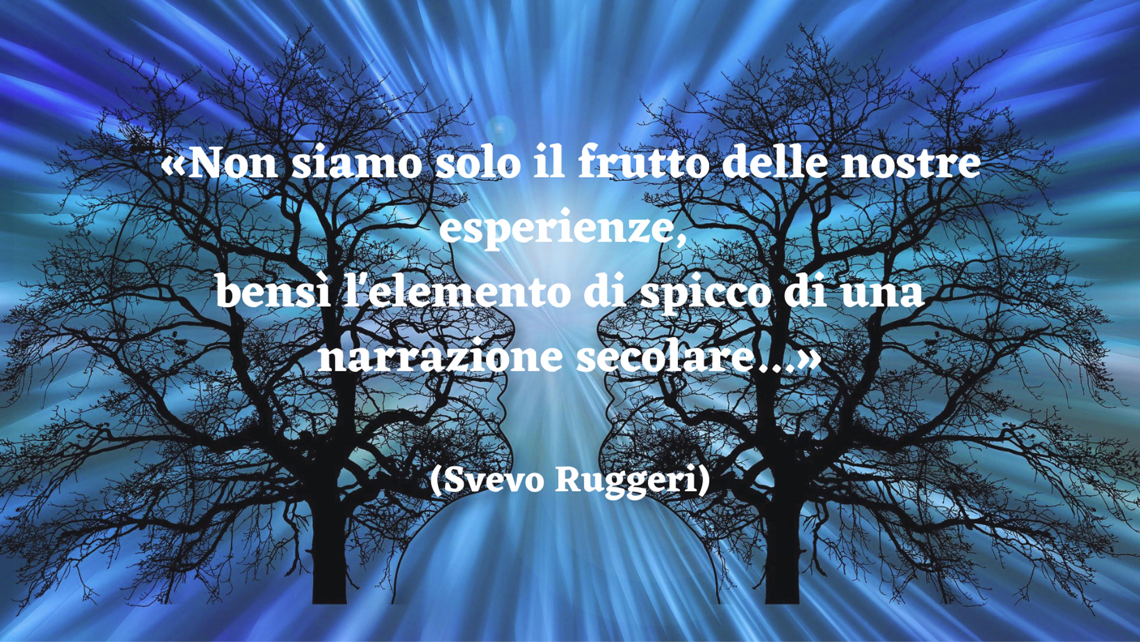 54b879cd-c62a-4961-a3de-6c976a9ba316.png