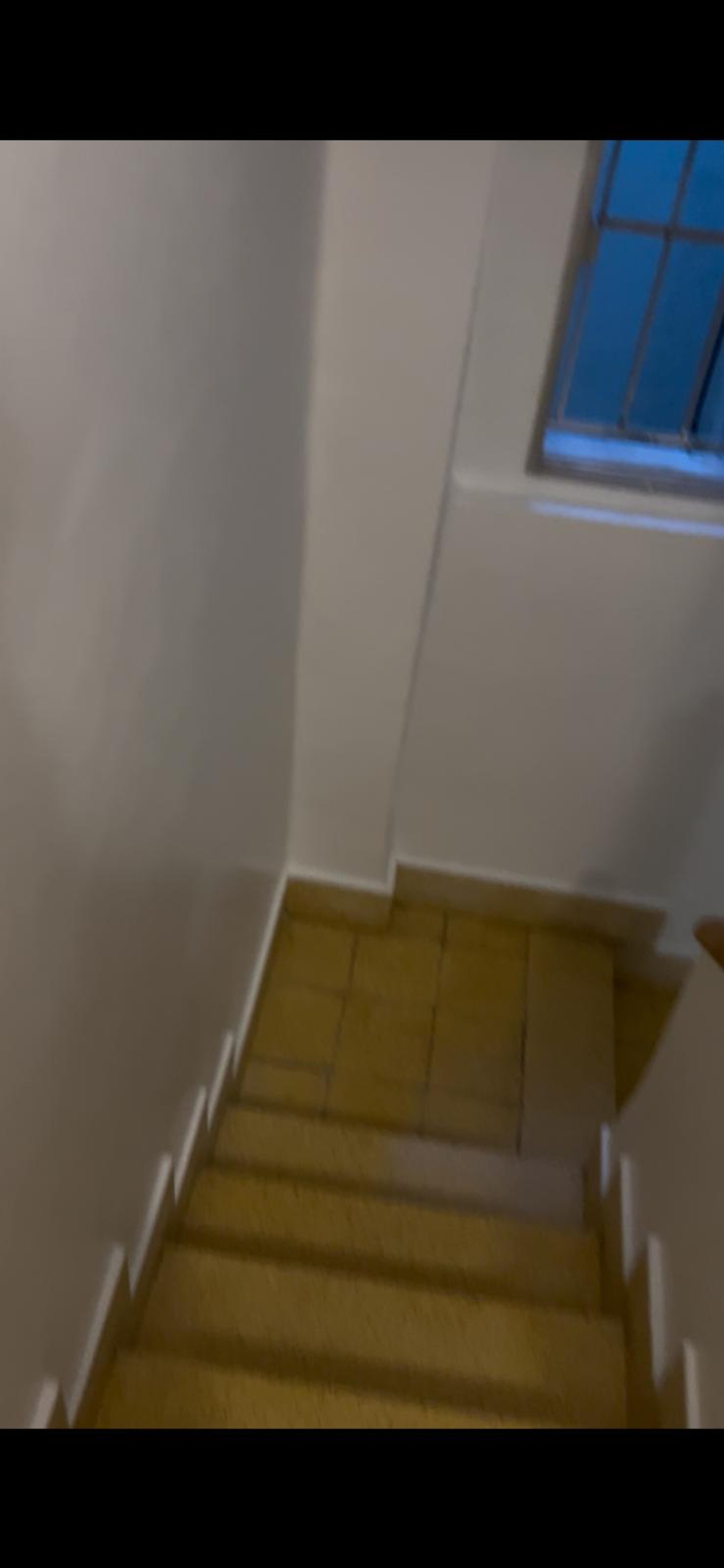 5505b0a5-f14a-4b6b-86d2-d80b4030749f.jpeg
