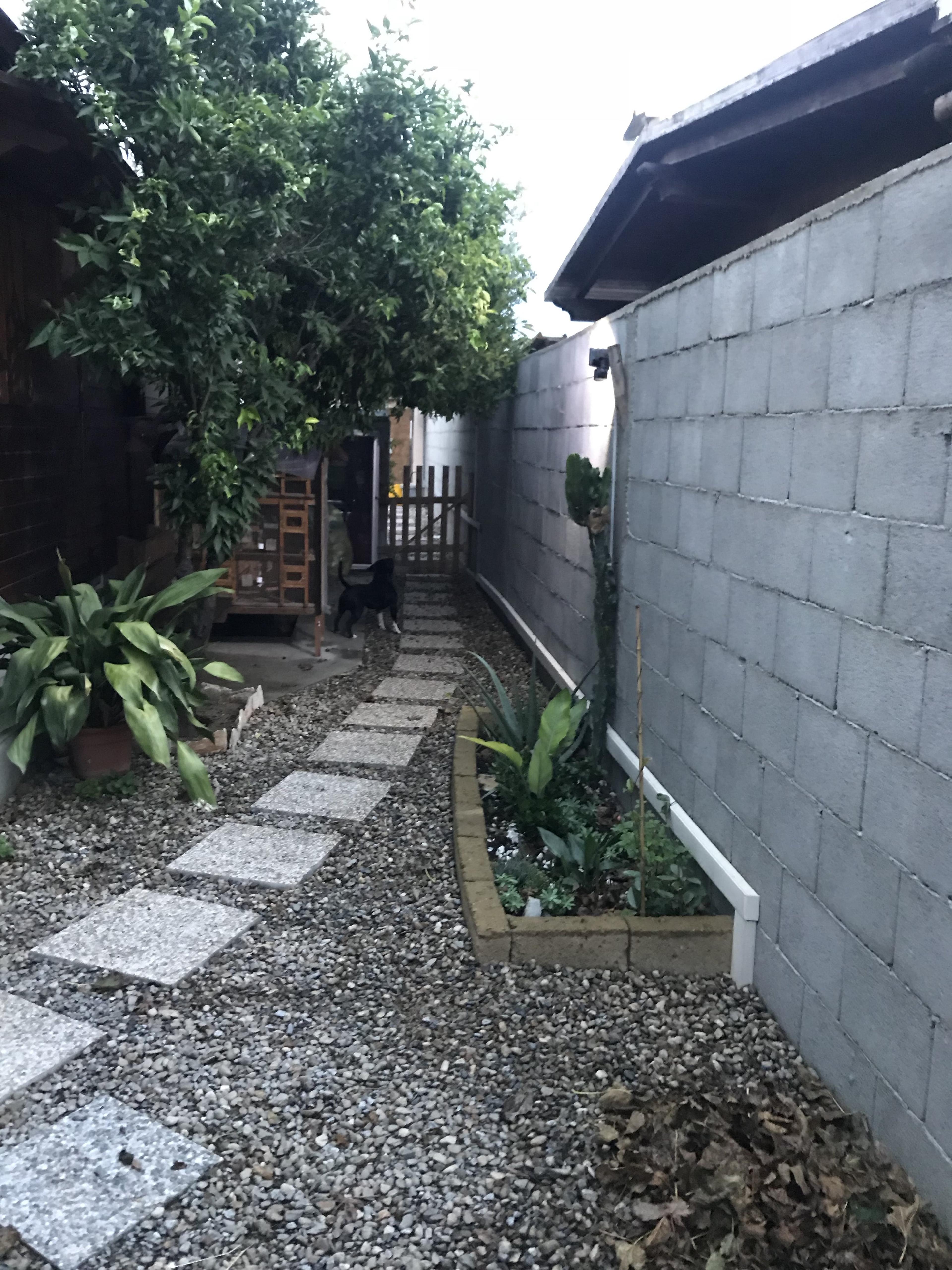 55404fe5-f6f8-4fdf-951b-7299a5b1e0e1.jpeg