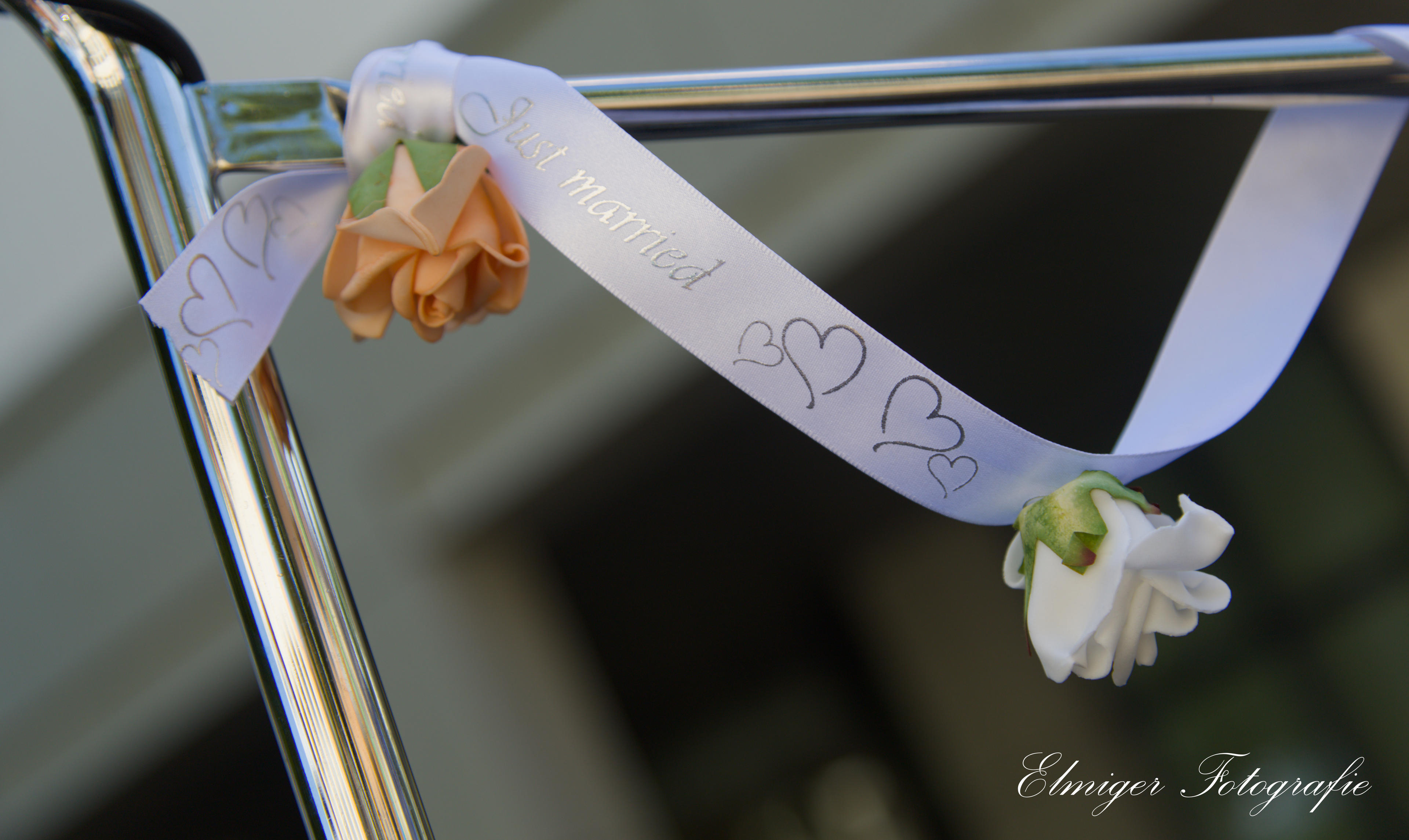 55ade734-904a-443c-94cf-b8305ed9f2fa.jpeg