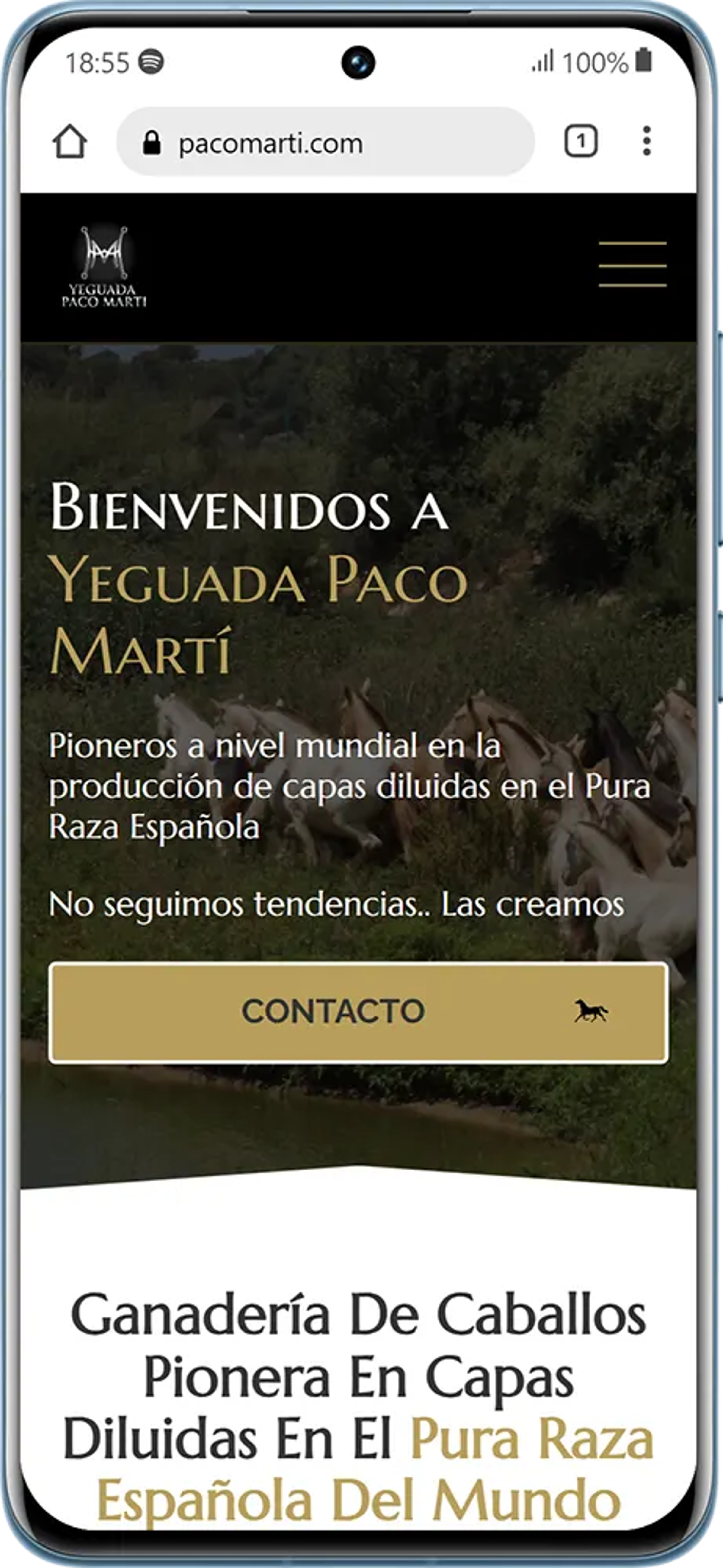 55d876a9-4c33-48d5-ab53-d6b3da379d38.png