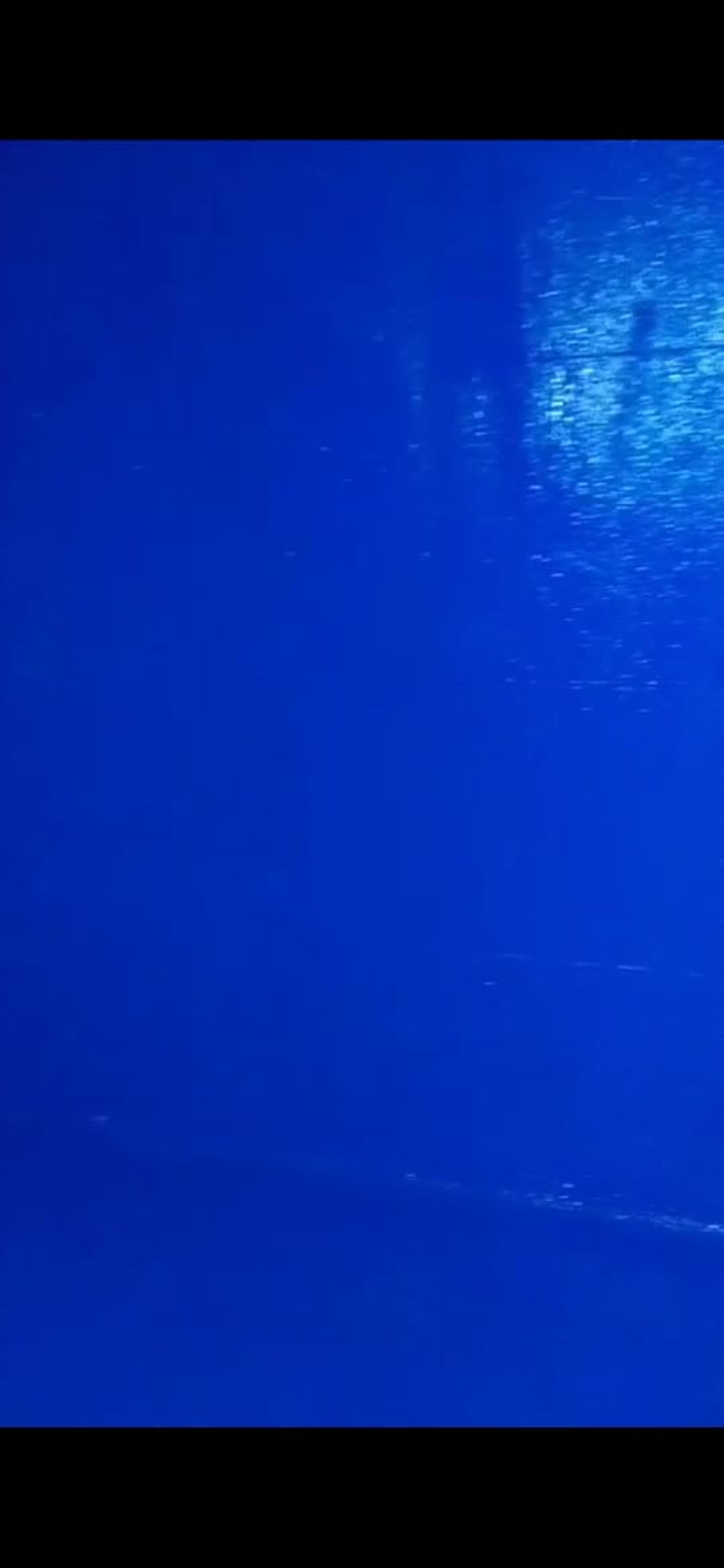 55e5bb4a-921f-42d0-abae-50237fbbb7d2.jpeg