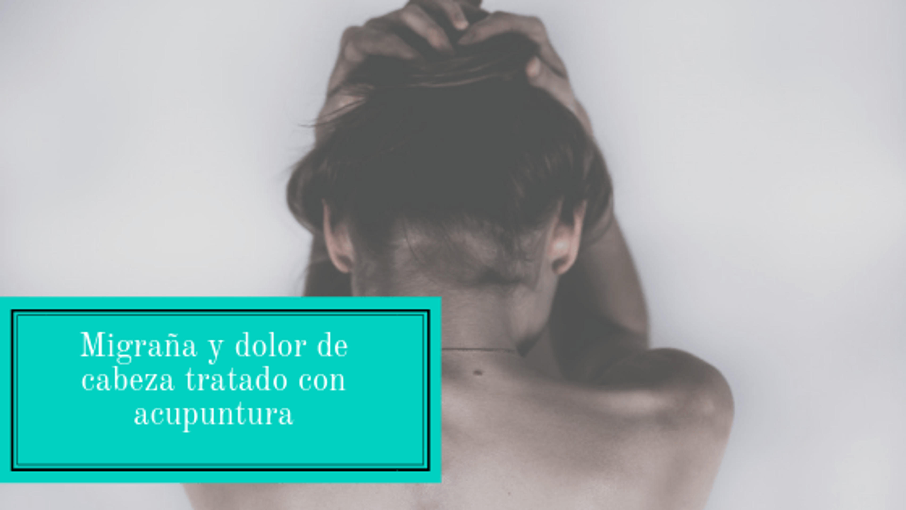 57005792-e19a-433b-85cf-6d65bee82b86.png