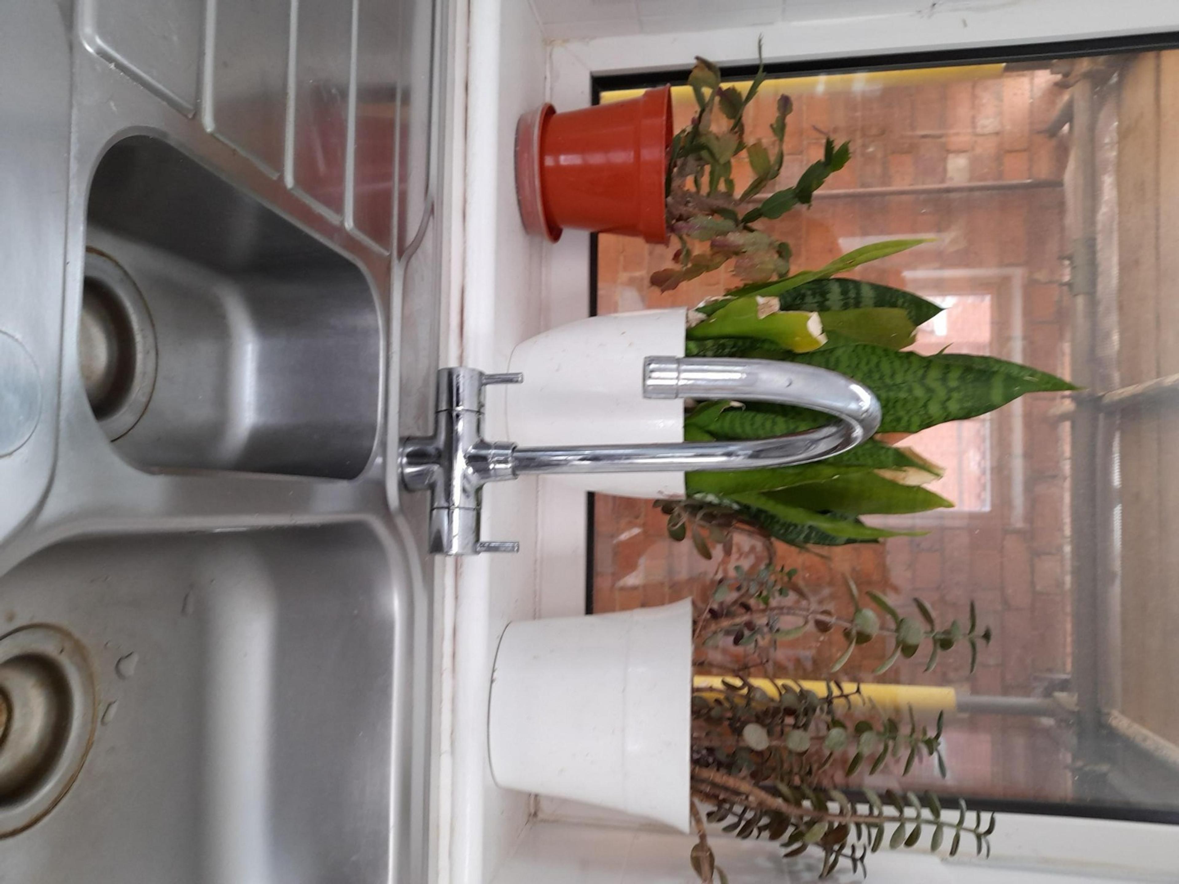 5739f97c-c766-40c1-9e0a-c125b8943864.jpeg