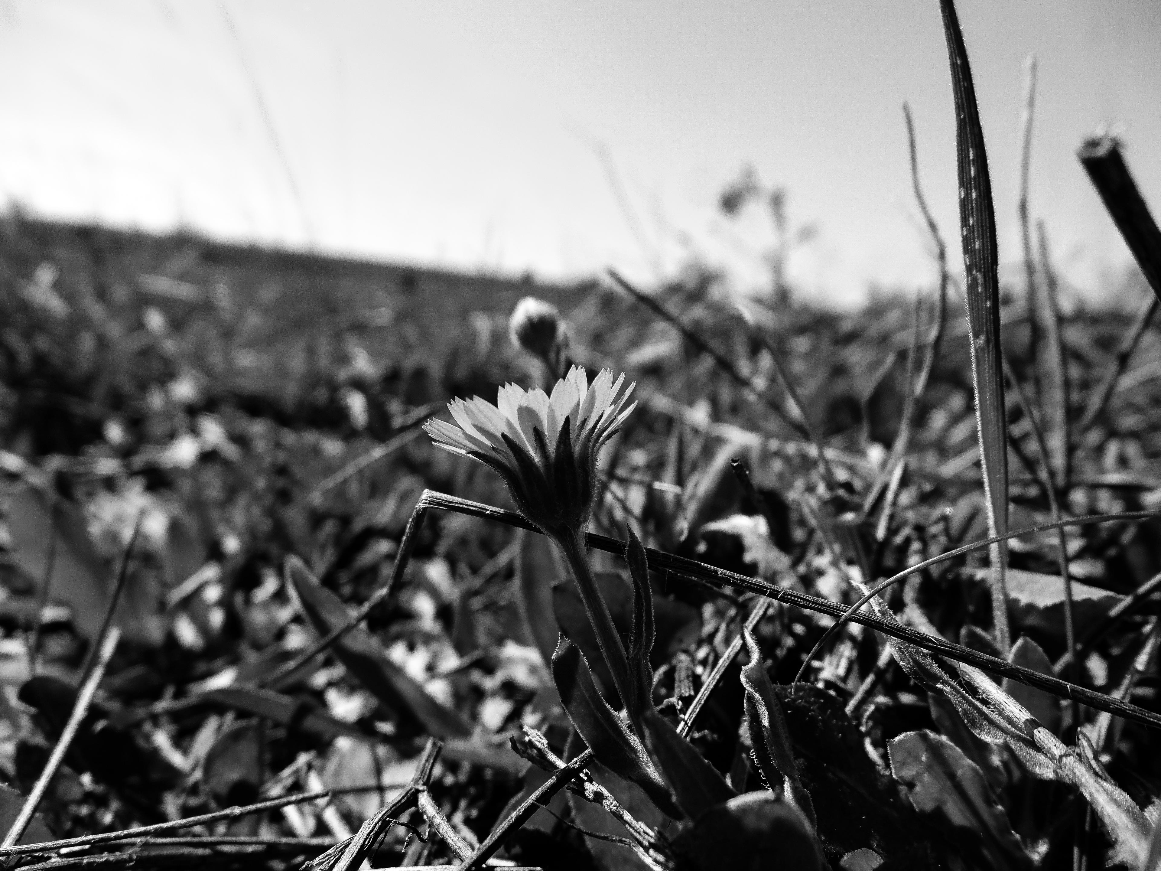 58396d46-0516-4c11-8d0c-2c74b07a9f23.jpeg