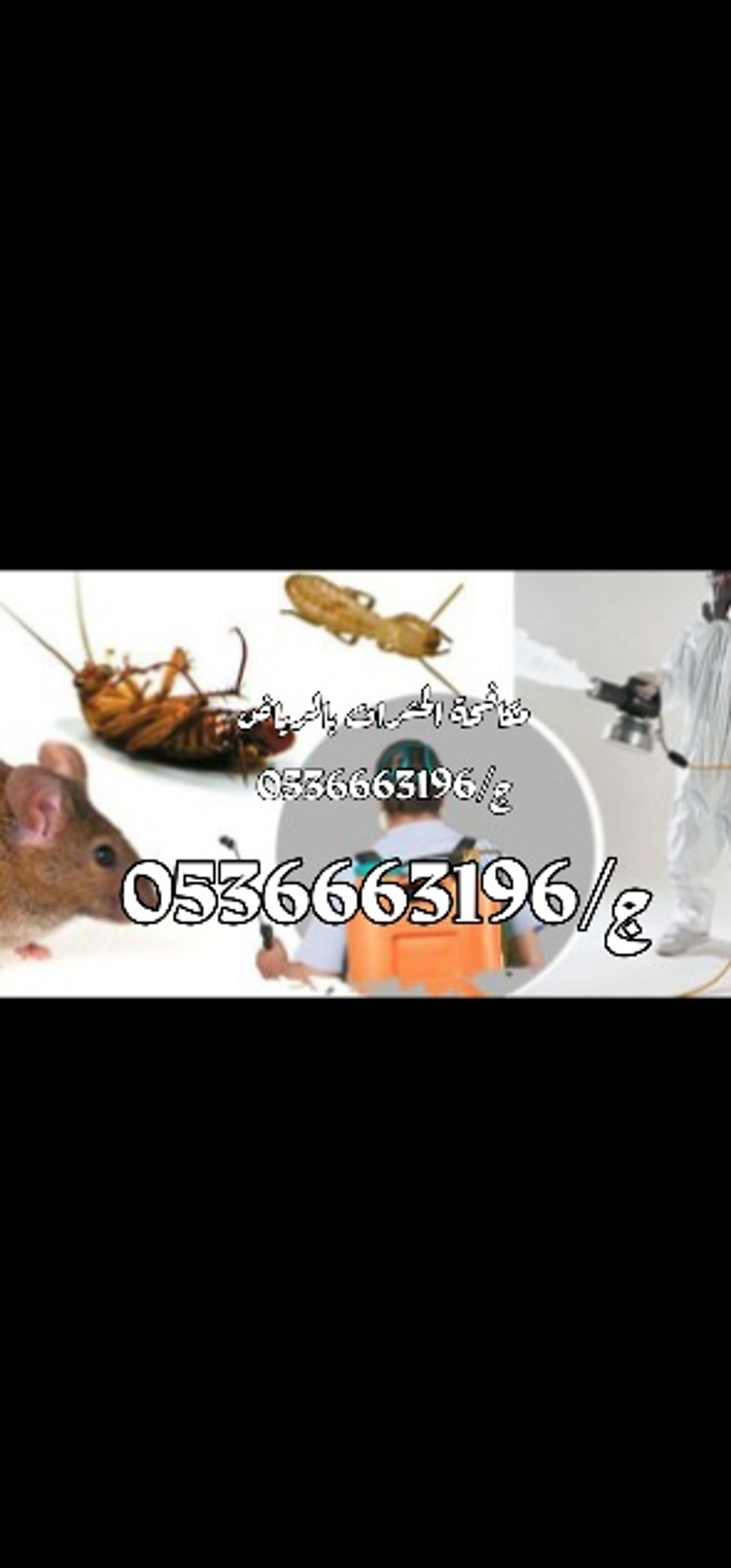 5858ffc7-2d30-4fae-8af7-f3dffb020e85.jpeg