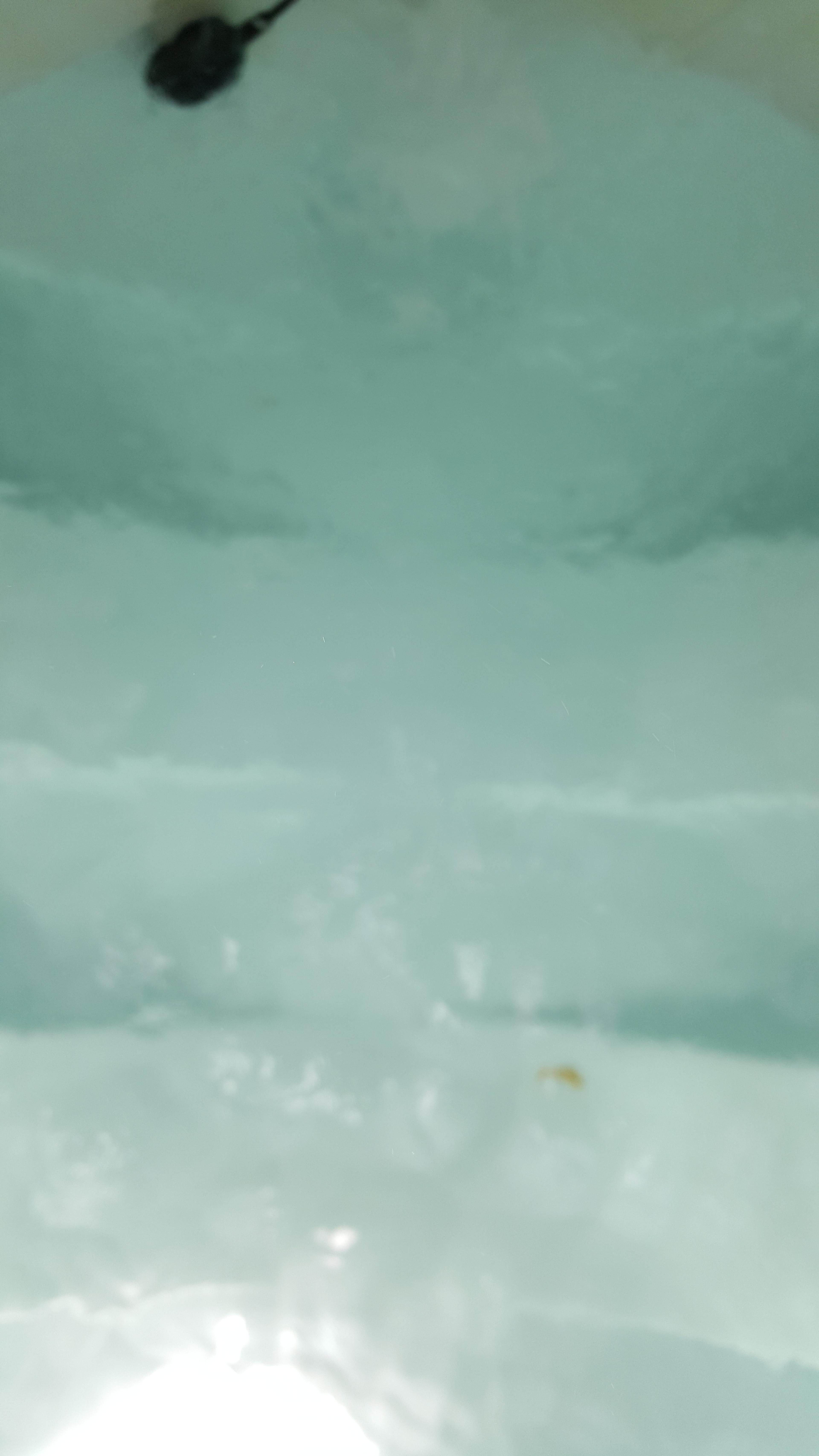 5884471a-34a0-4970-833d-6d8a4552d614.jpeg