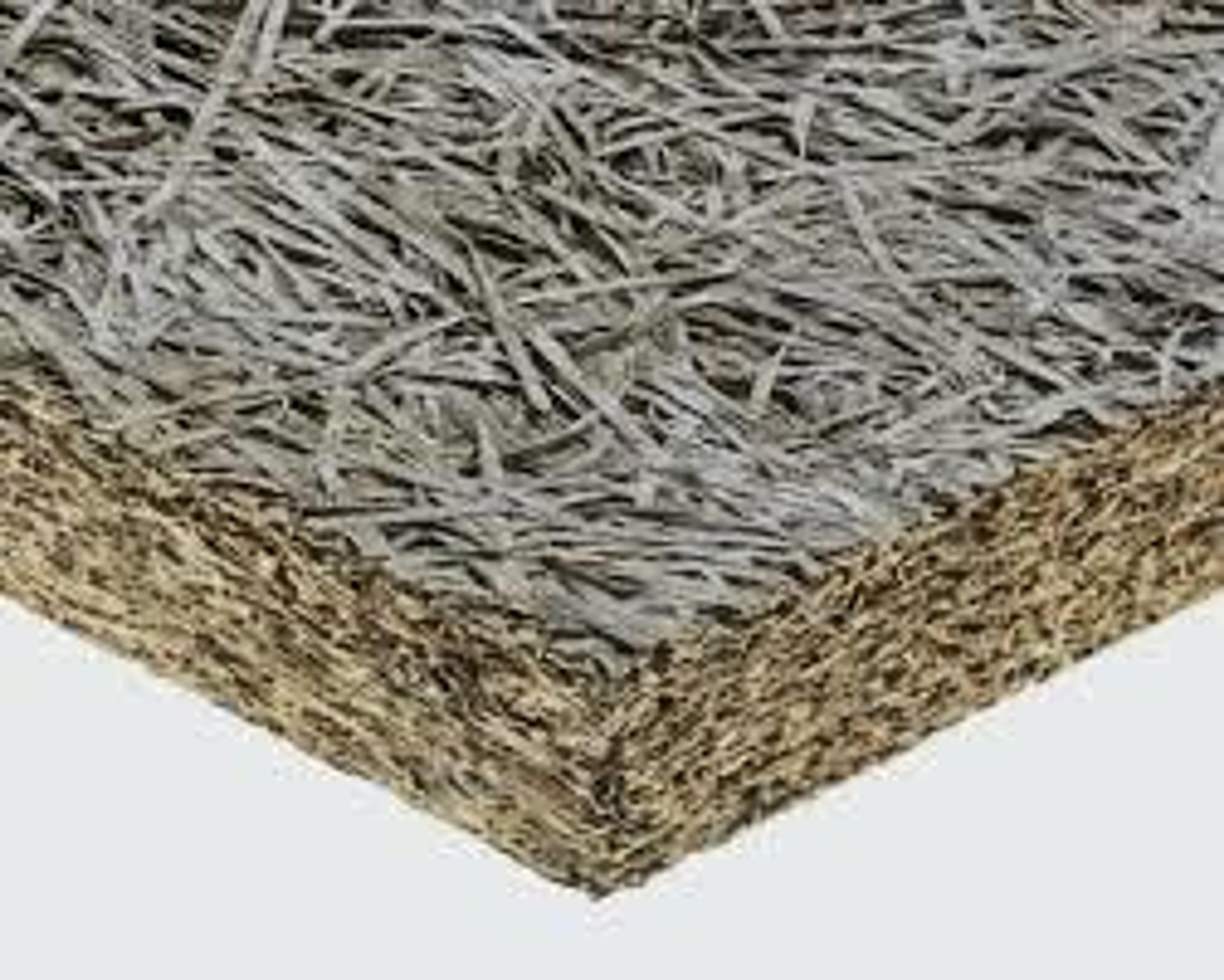 590a4603-98dd-4cbe-add1-8eab2c864cfd.jpeg
